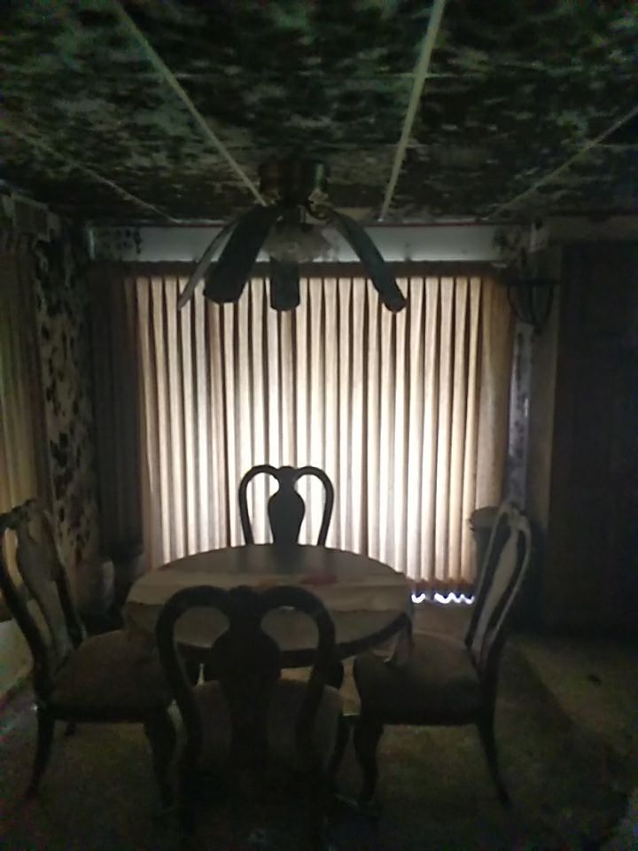 Mold Remediation