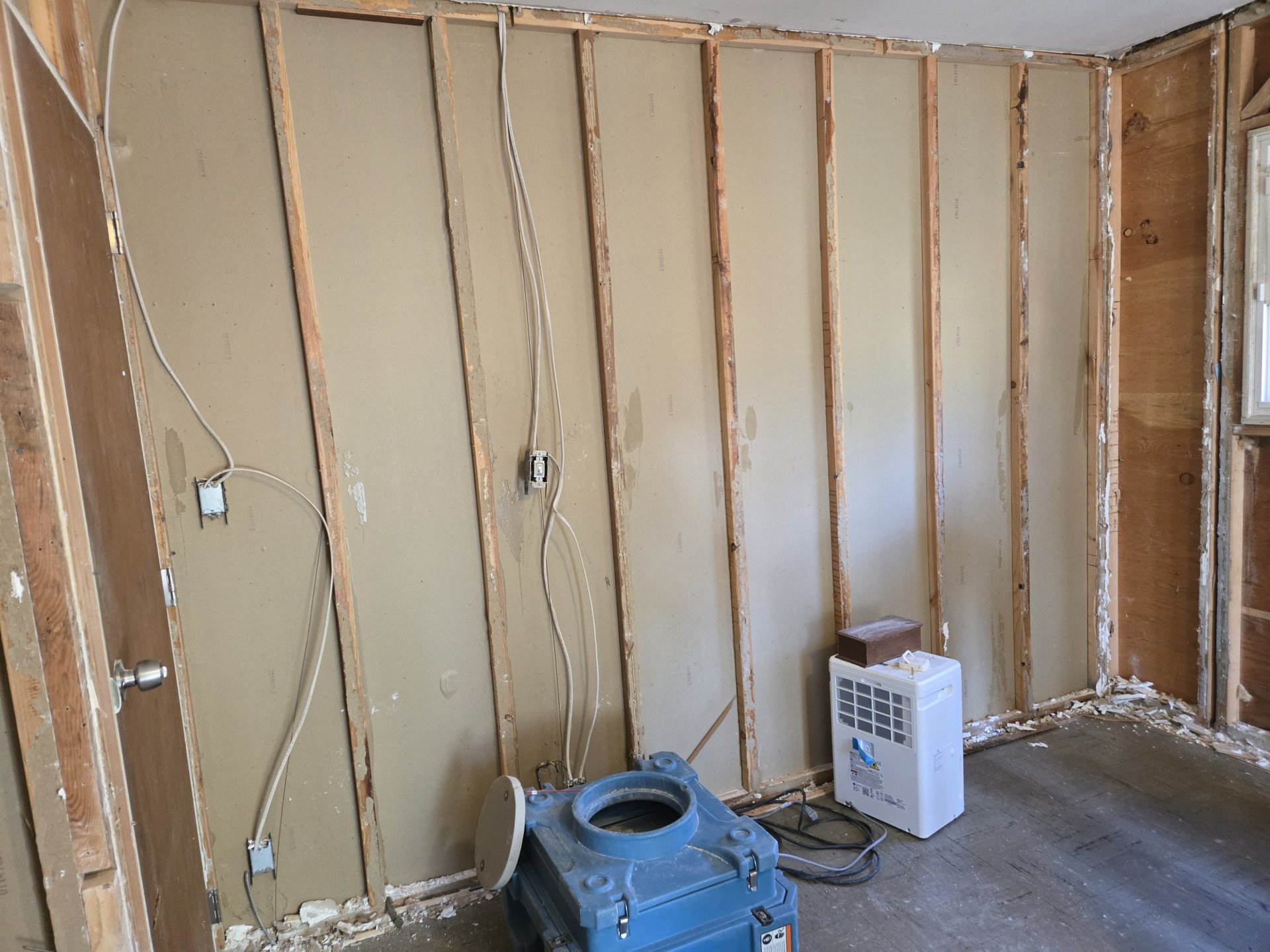Mold Remediation