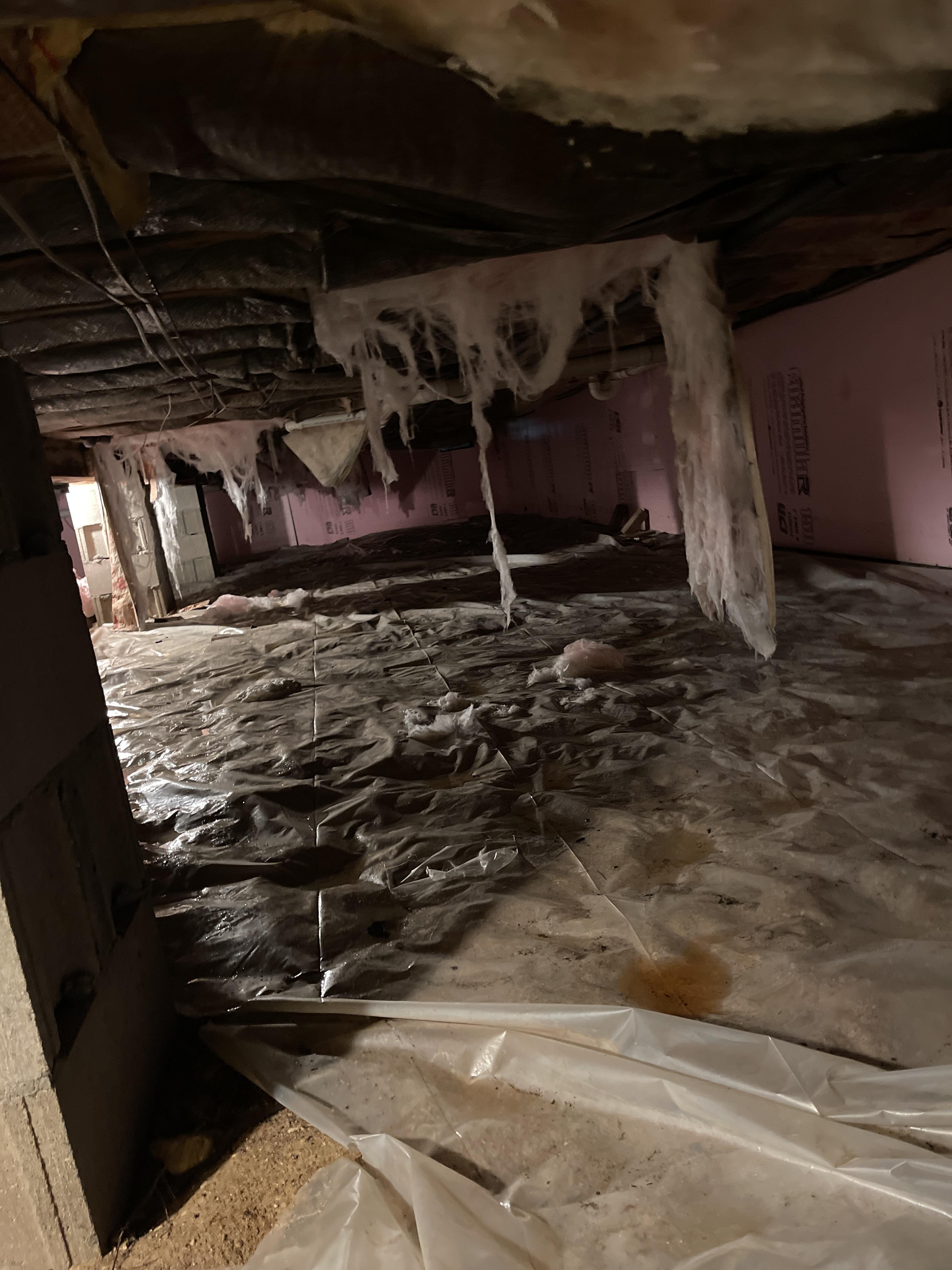 An example of a properly encapsulated crawlspace providing protection against moisture in Elk Rapids, Michigan.