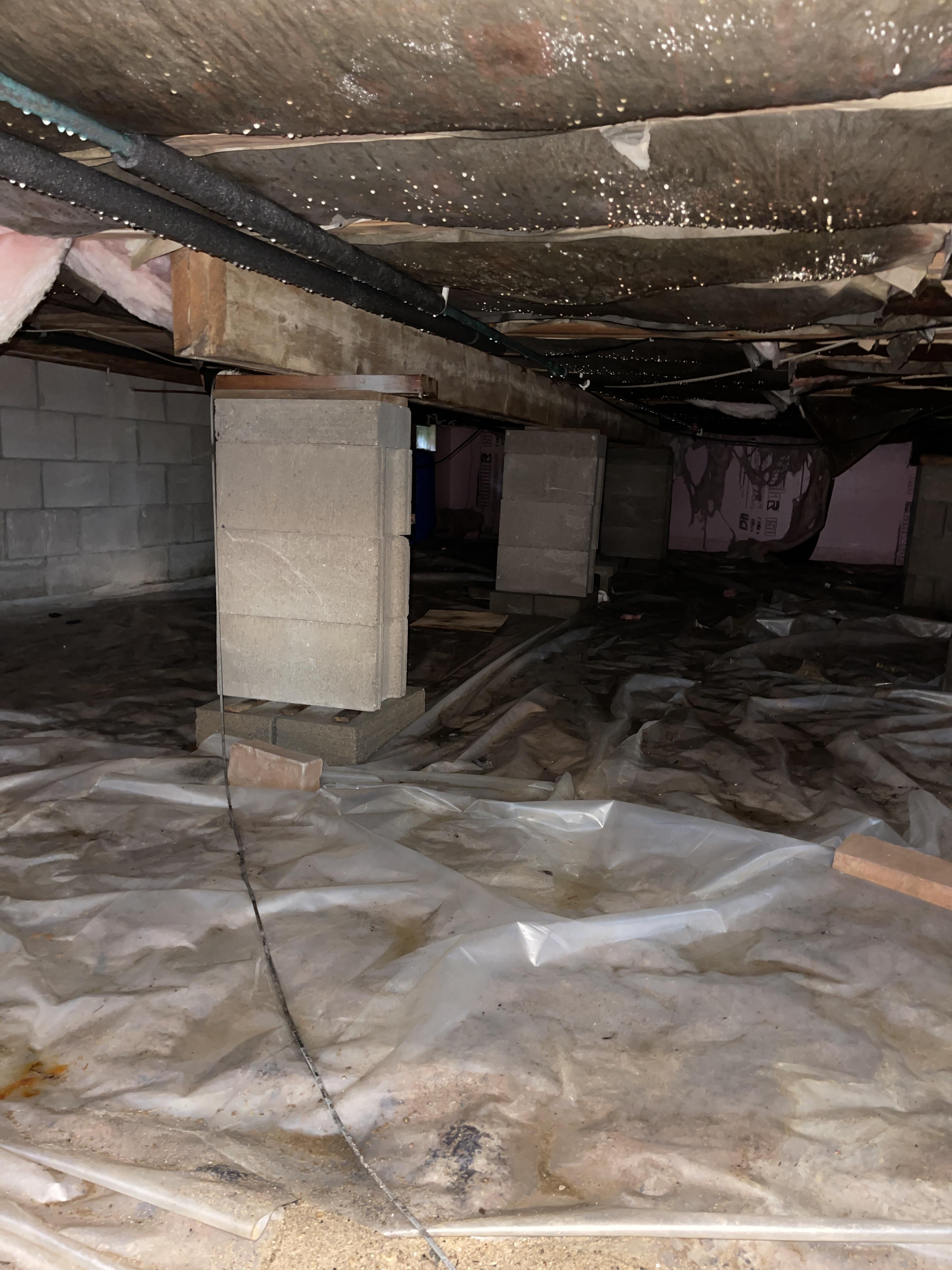 Crawlspace encapsulation with vapor barrier and insulation in a Rapid City, MI home.