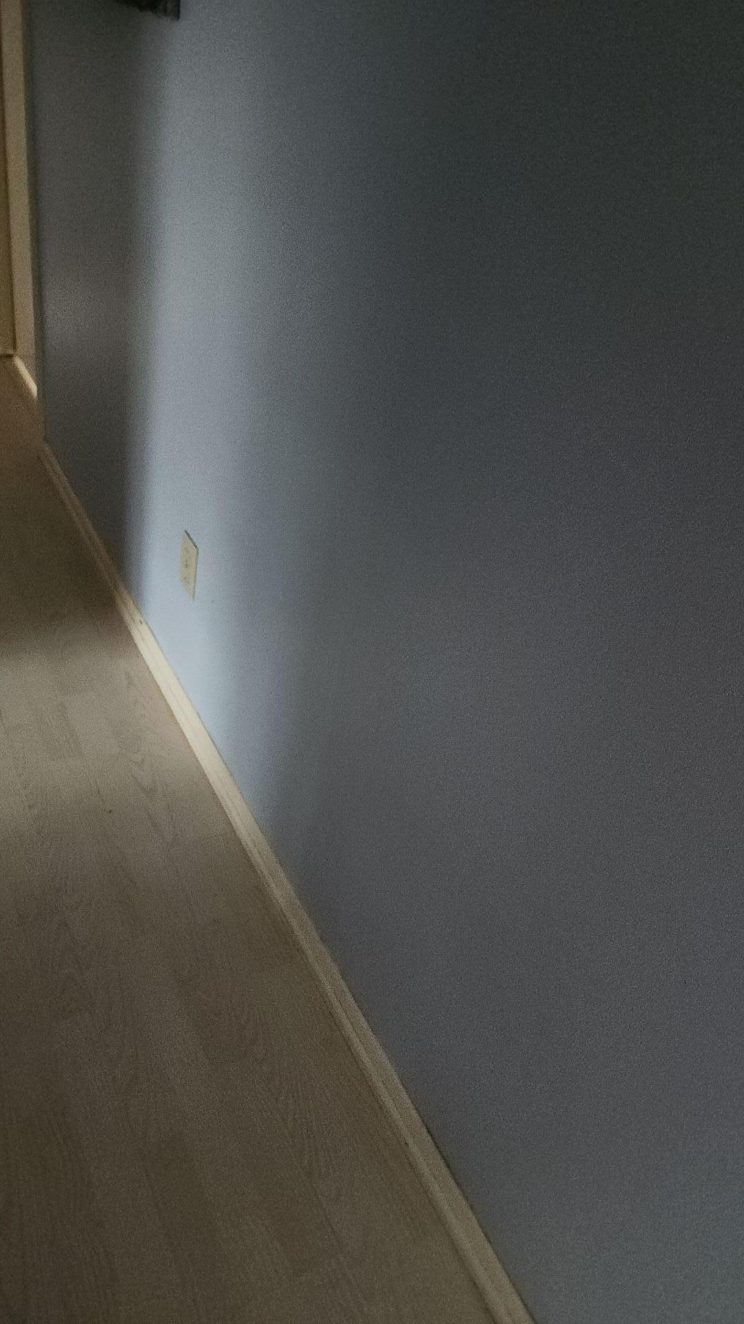 Mold Remediation
