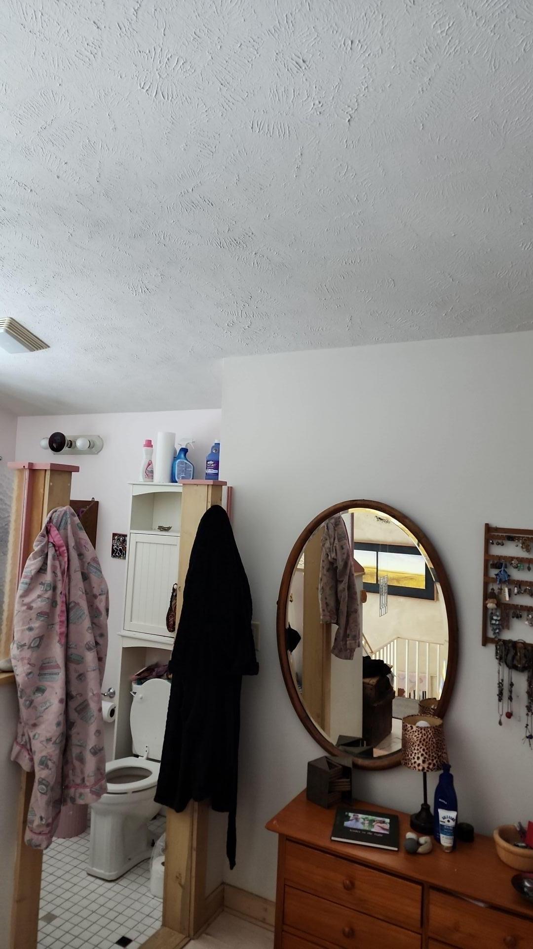 Mold Remediation