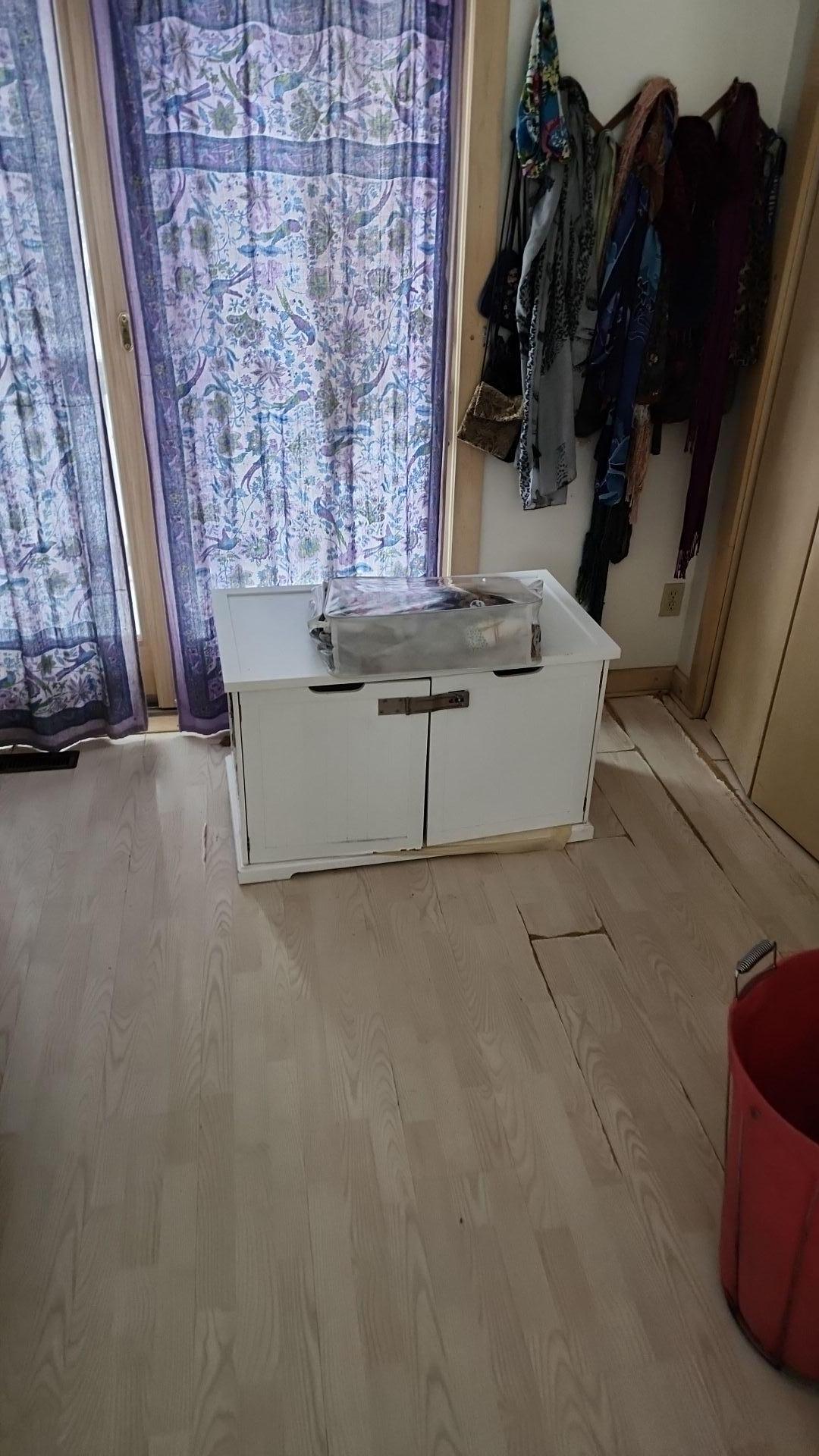 Mold Remediation