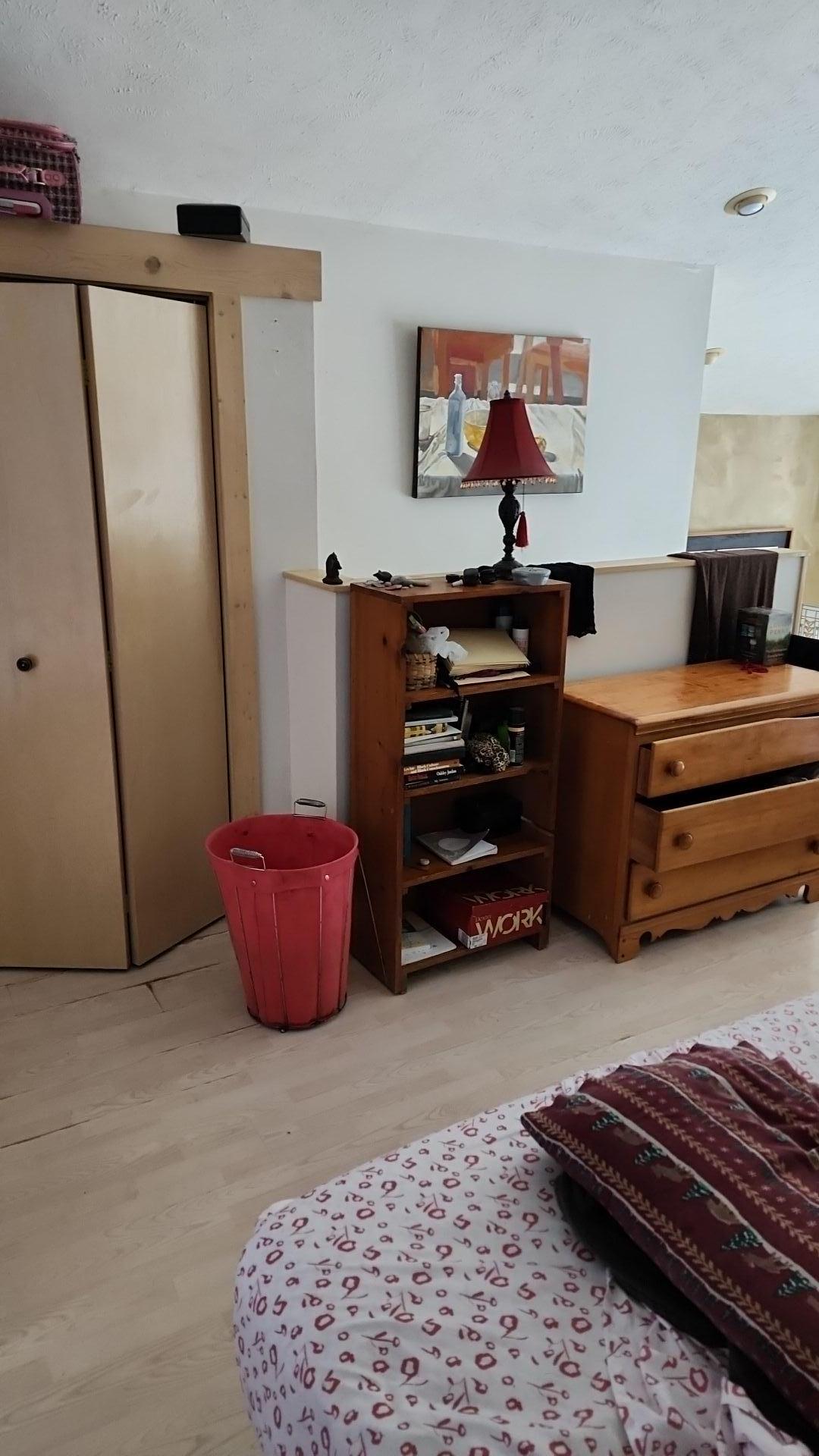 Mold Remediation