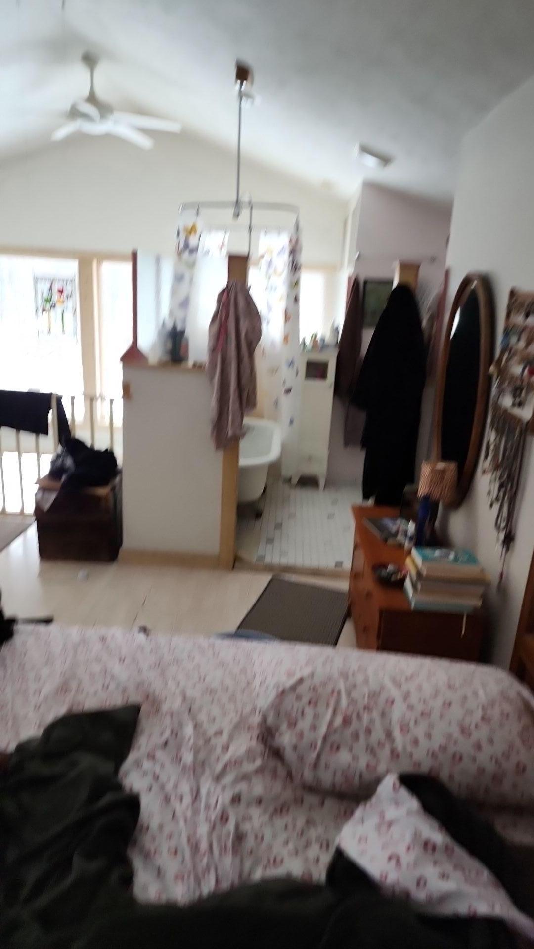 Mold Remediation