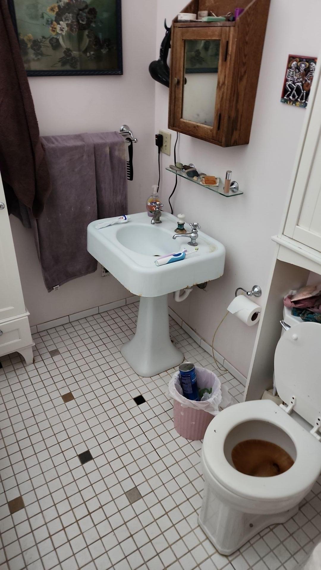 Mold Remediation