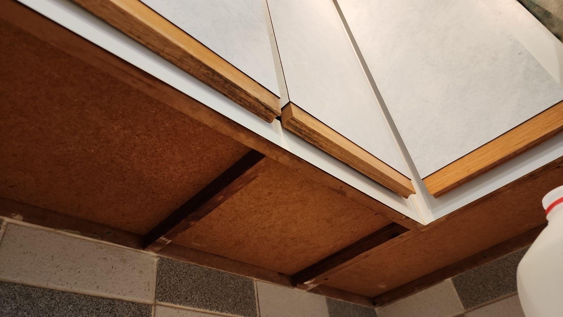 Mold Remediation