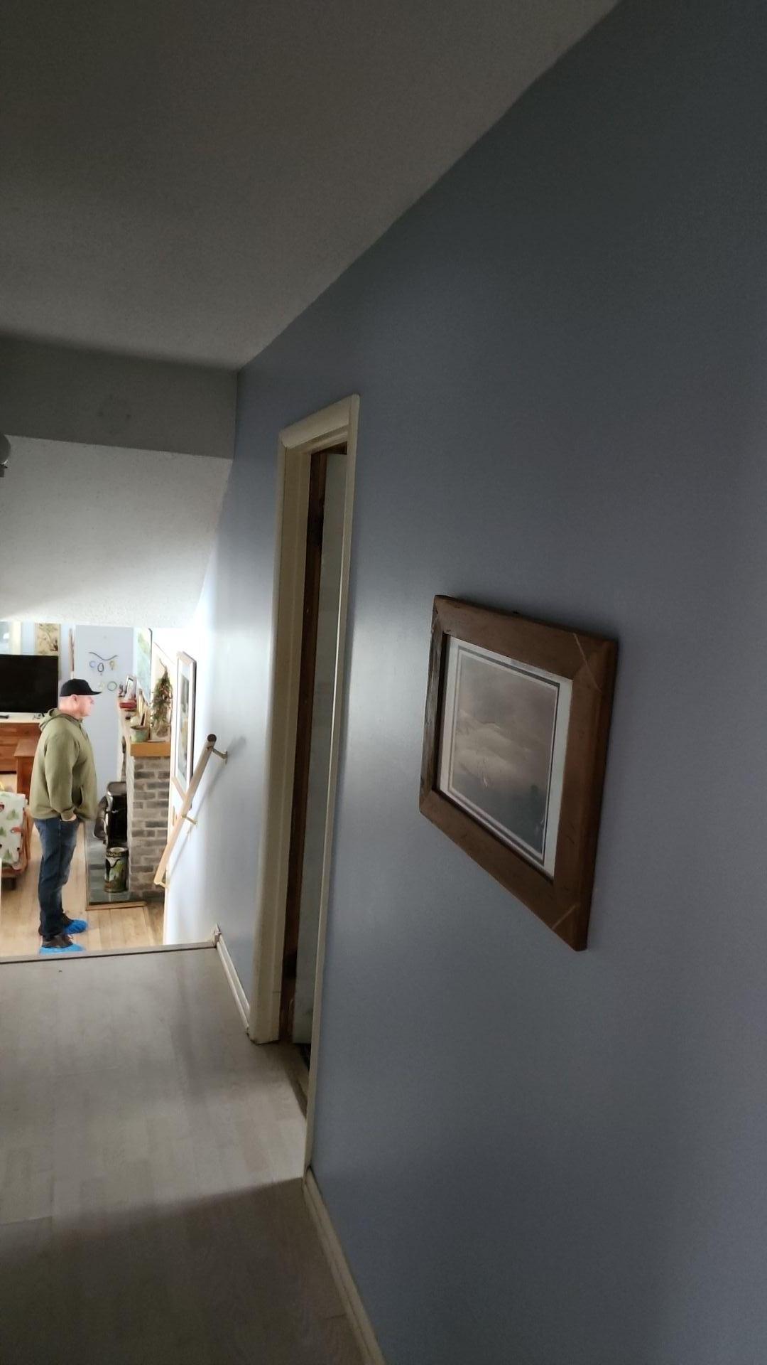 Mold Remediation