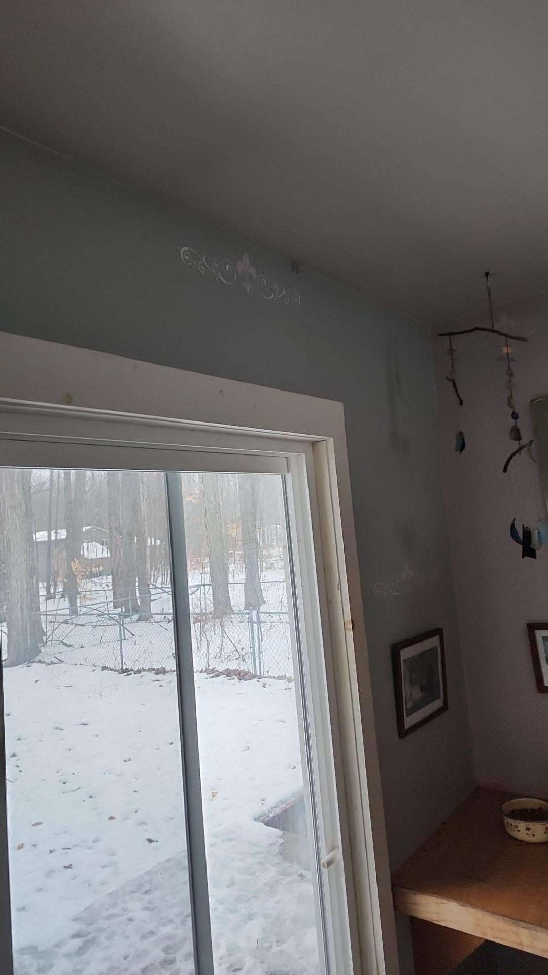 Mold Remediation