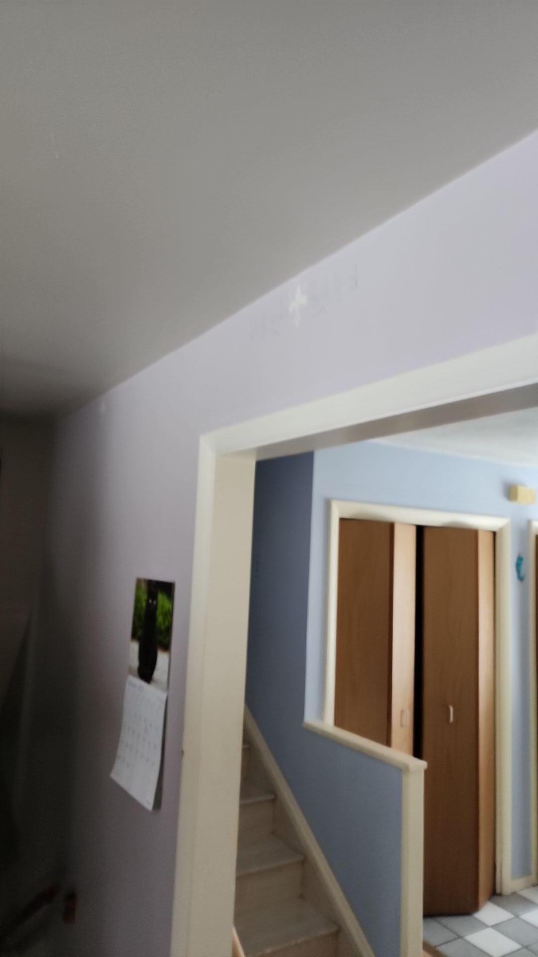 Mold Remediation