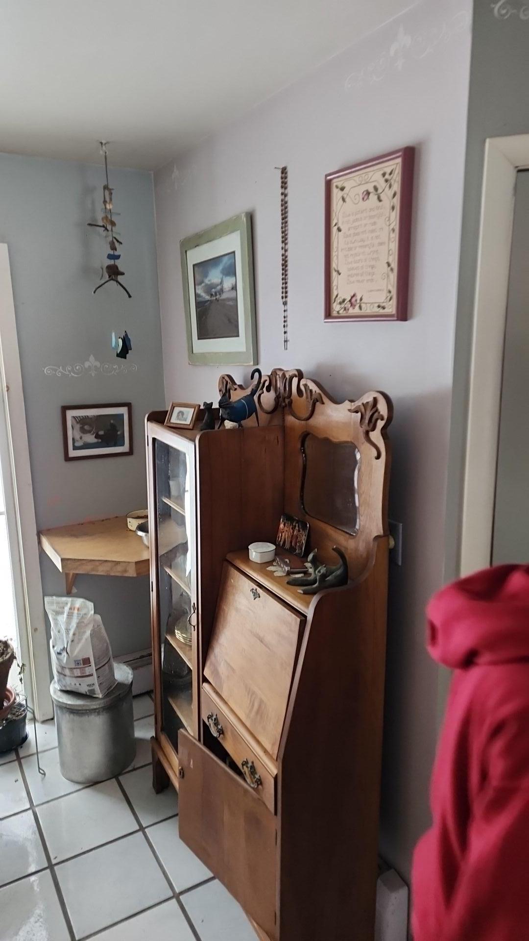 Mold Remediation