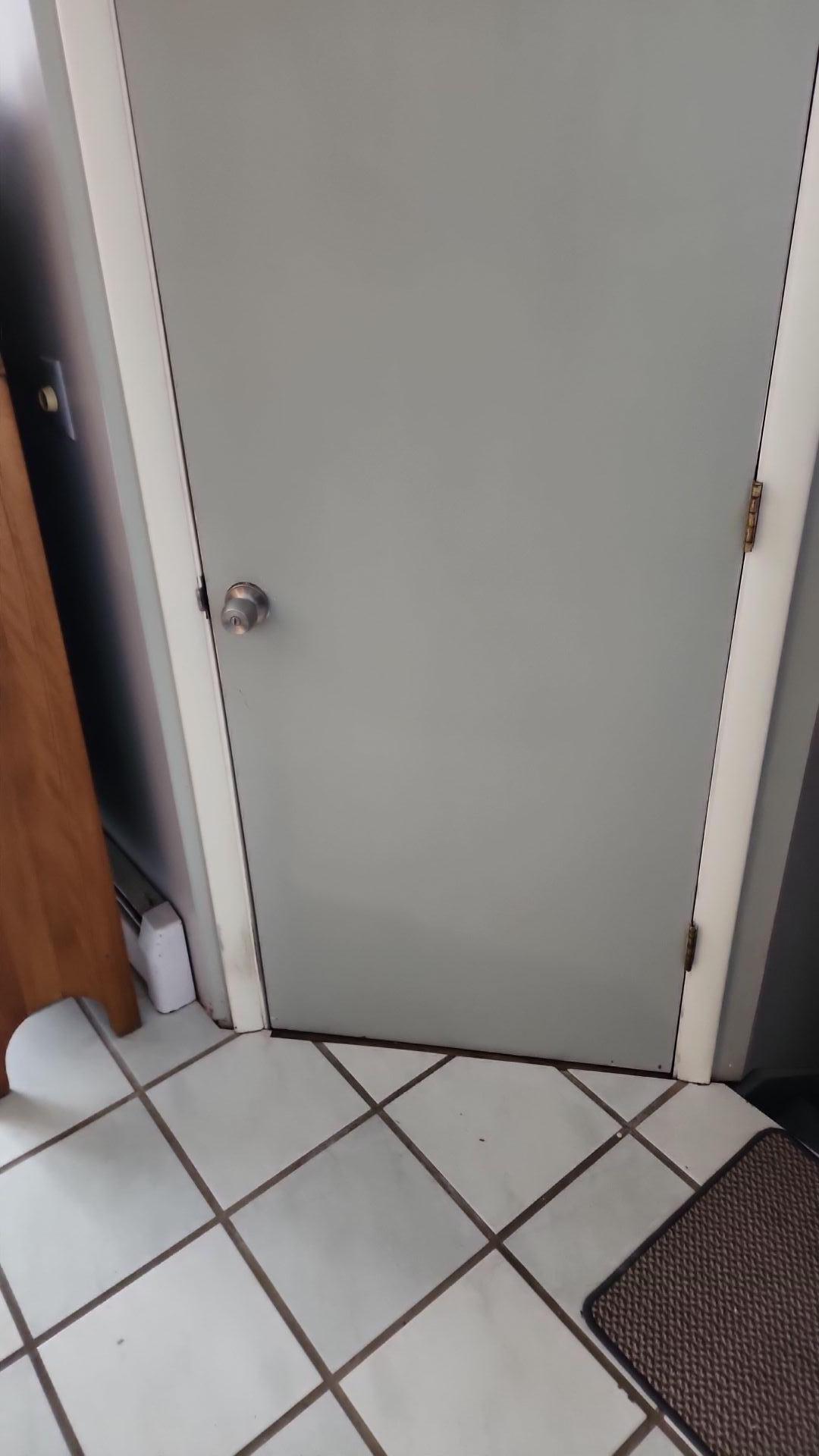 Mold Remediation