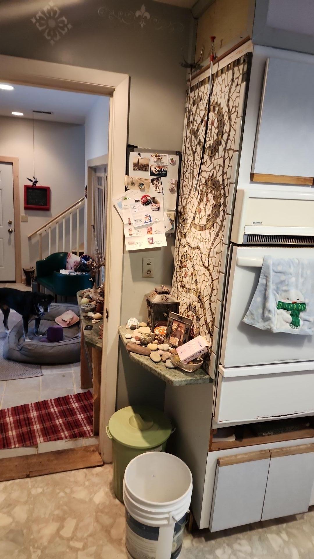 Mold Remediation