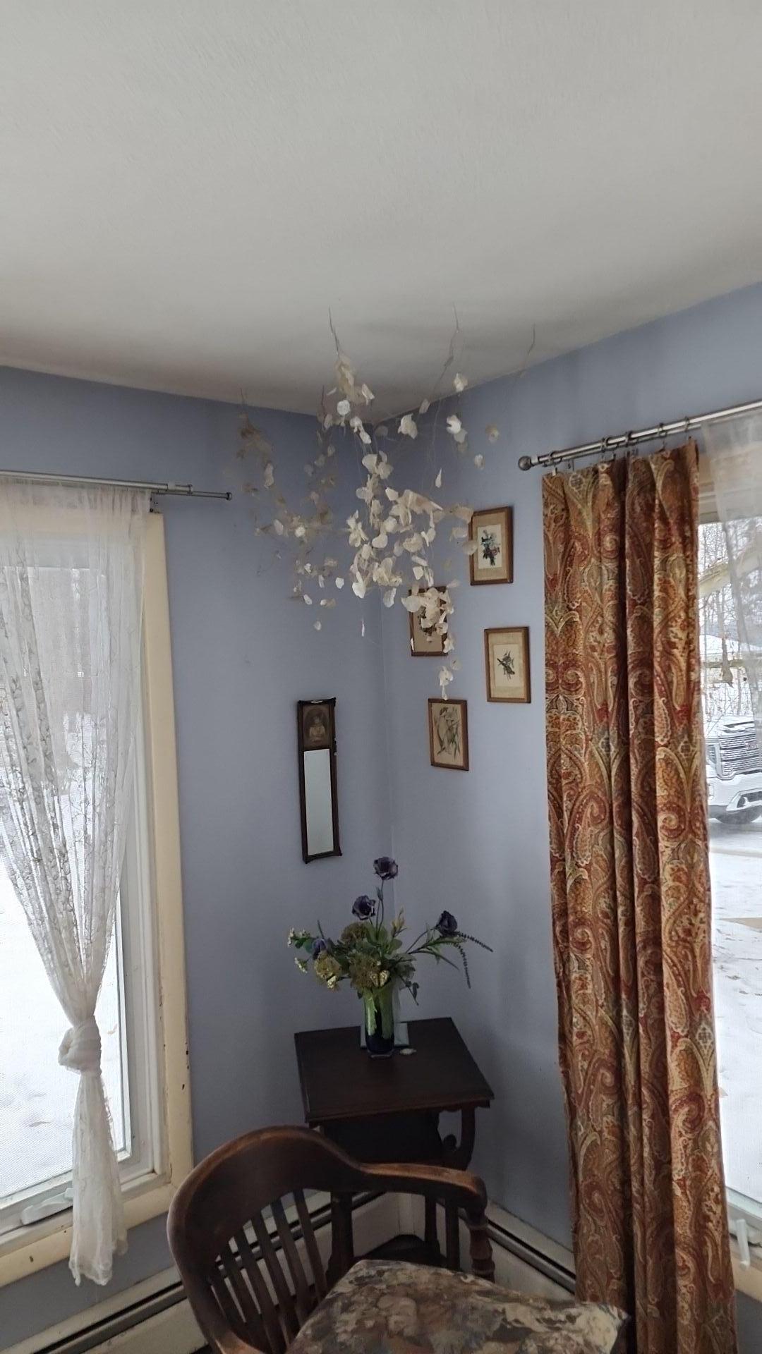Mold Remediation