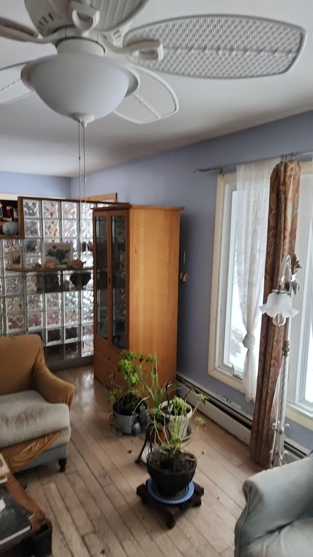 Mold Remediation