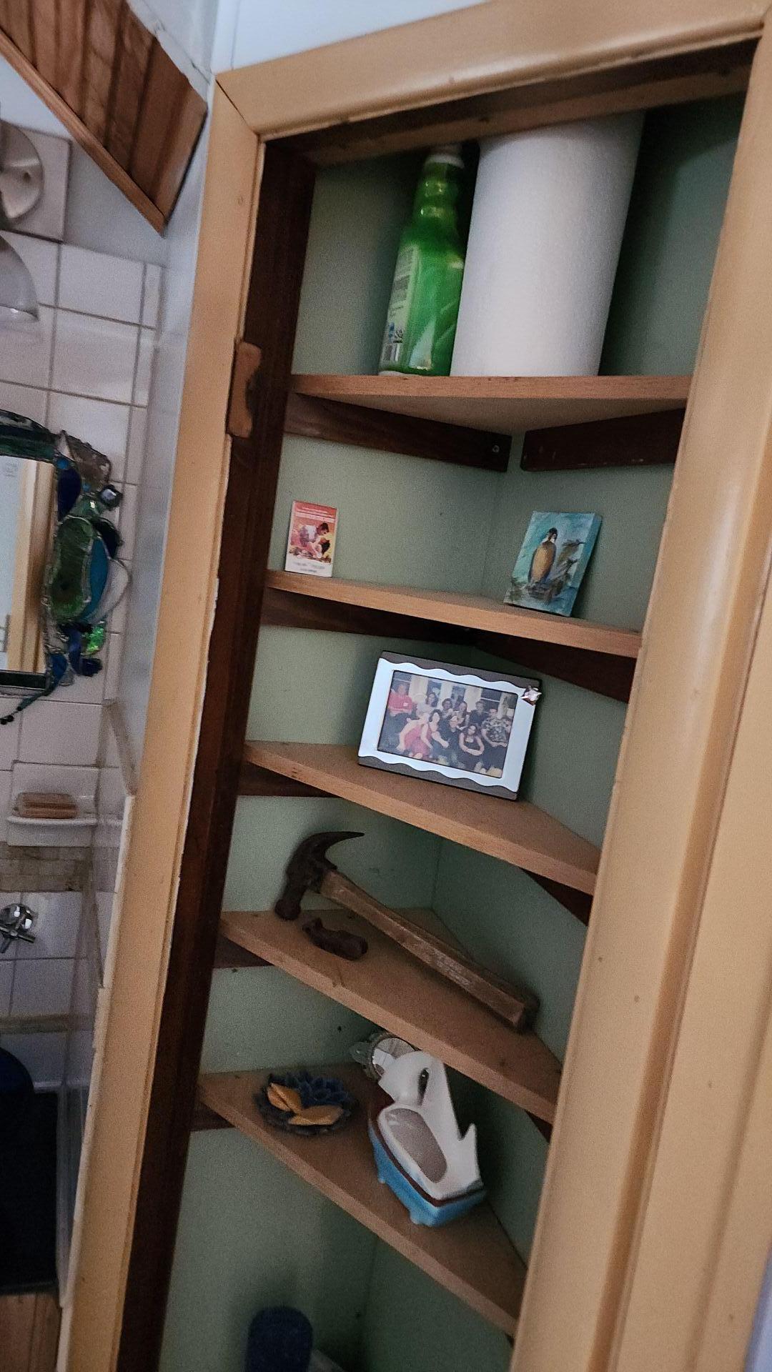Mold Remediation