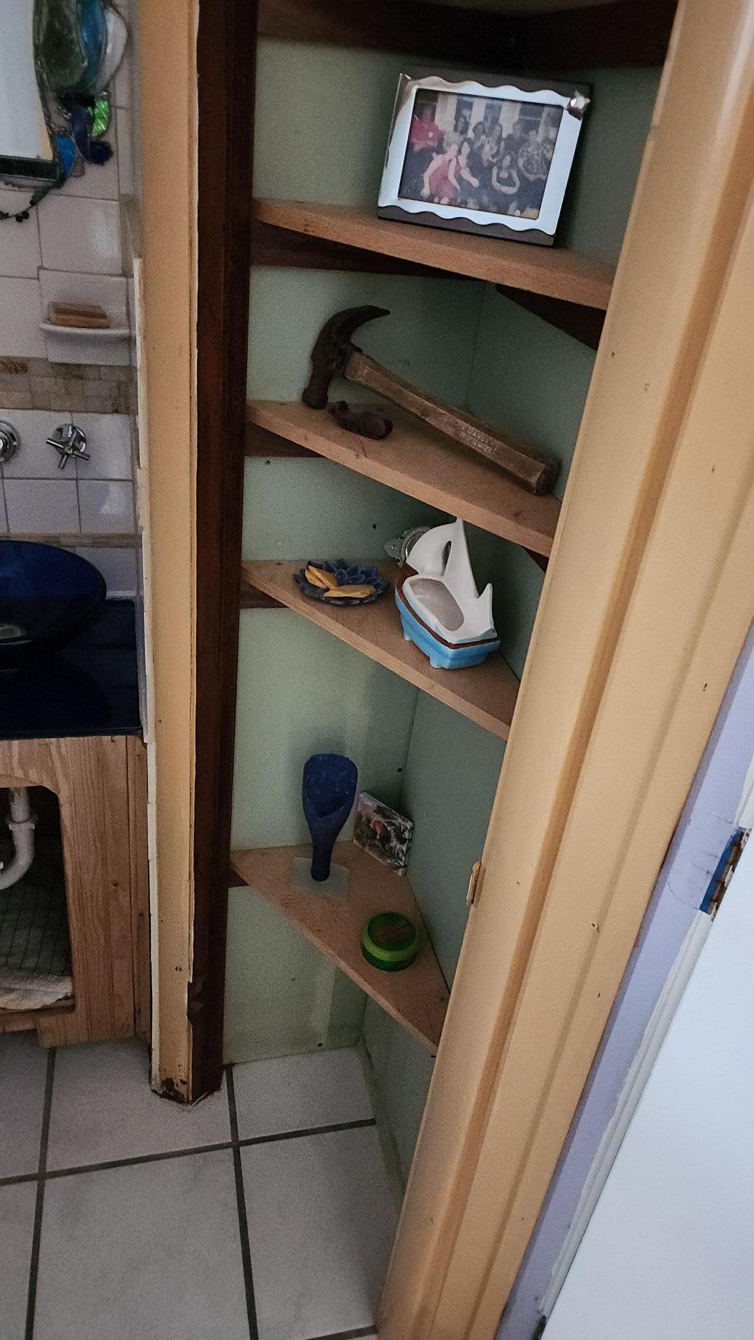 Mold Remediation