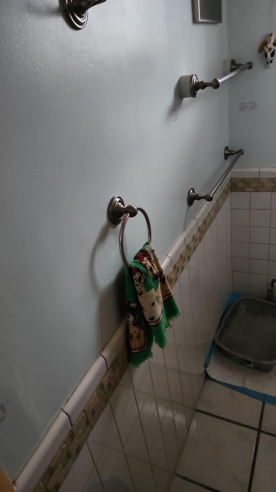 Mold Remediation
