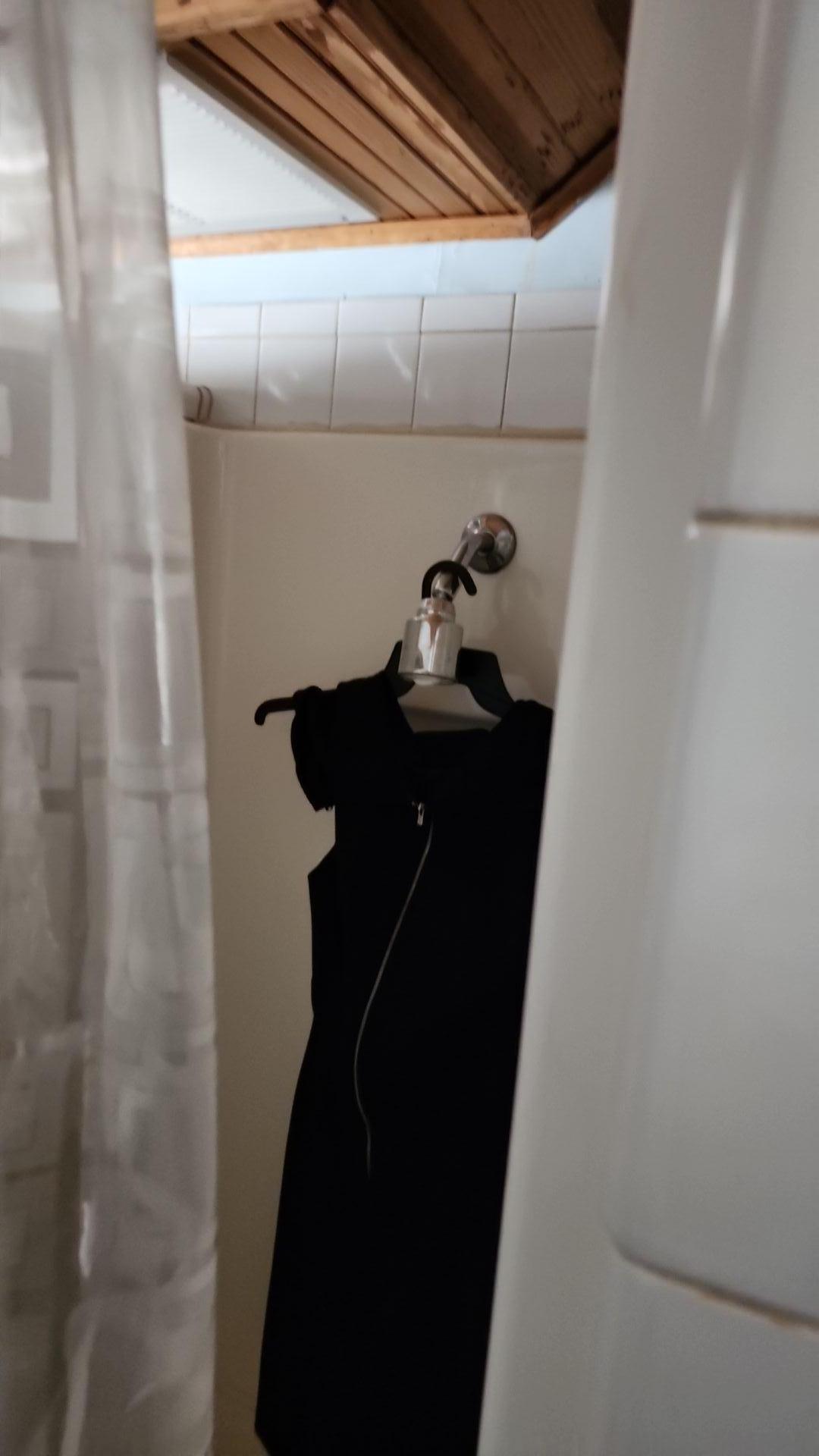 Mold Remediation