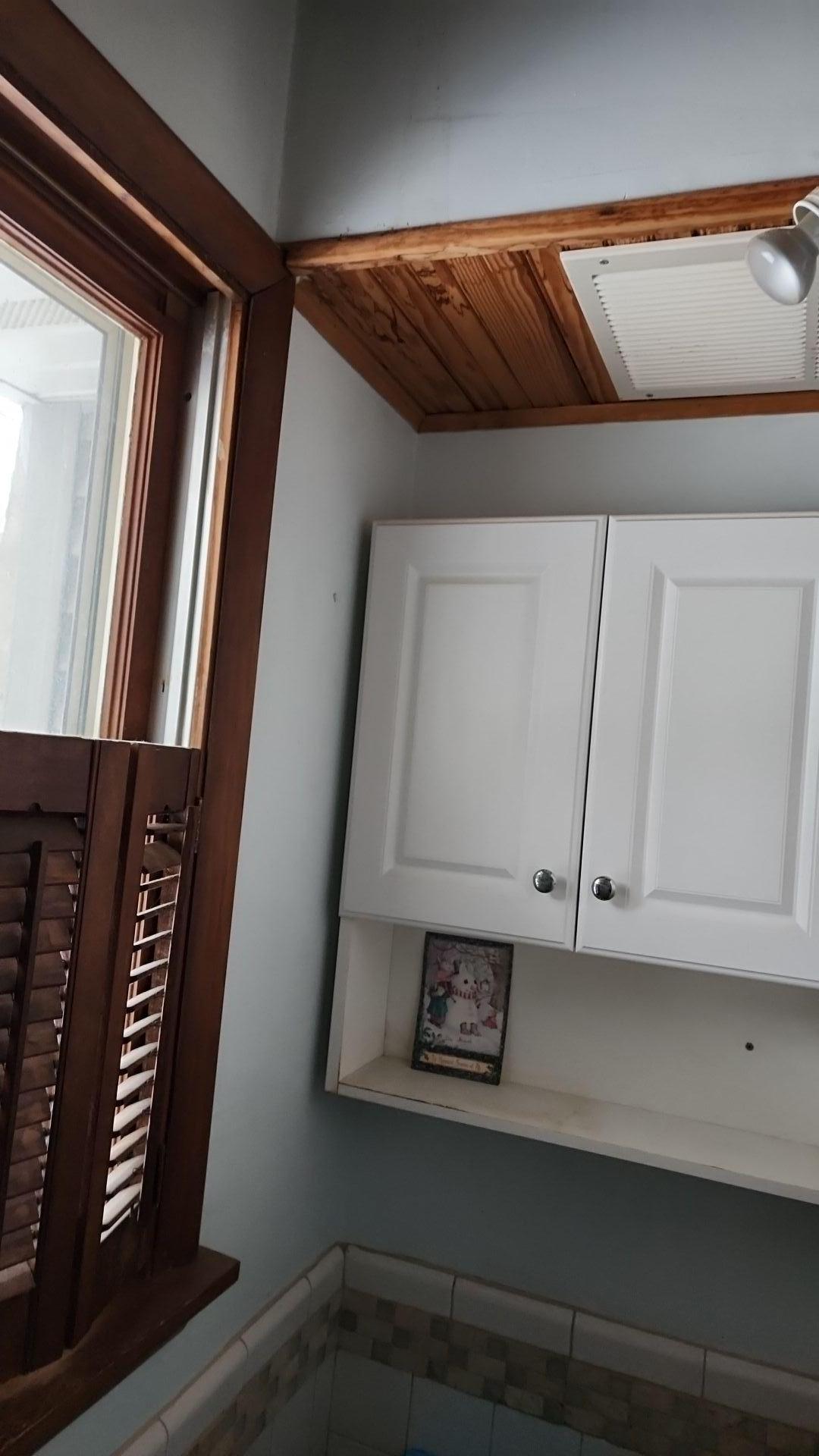 Mold Remediation