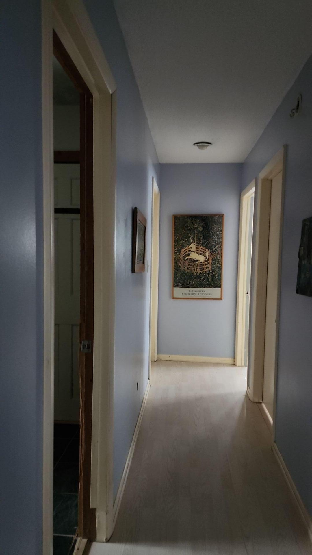 Mold Remediation