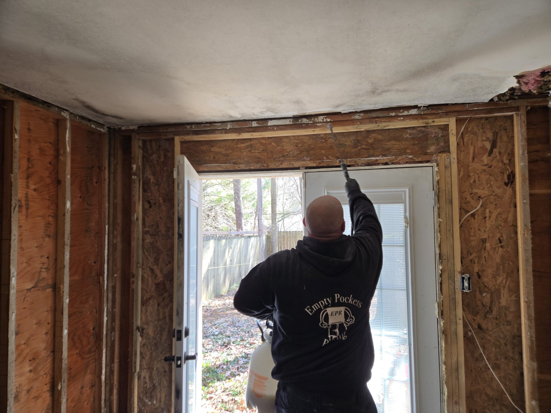 Mold Remediation
