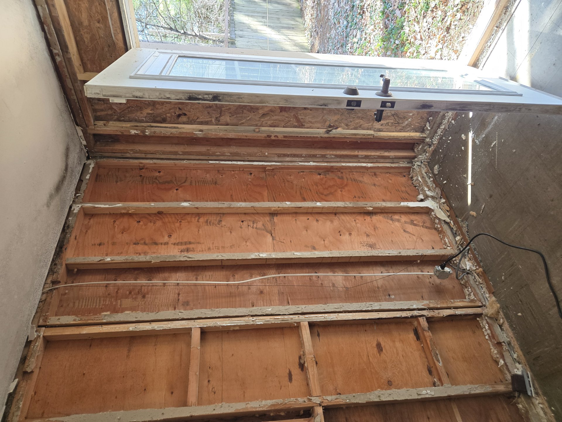 Mold Remediation