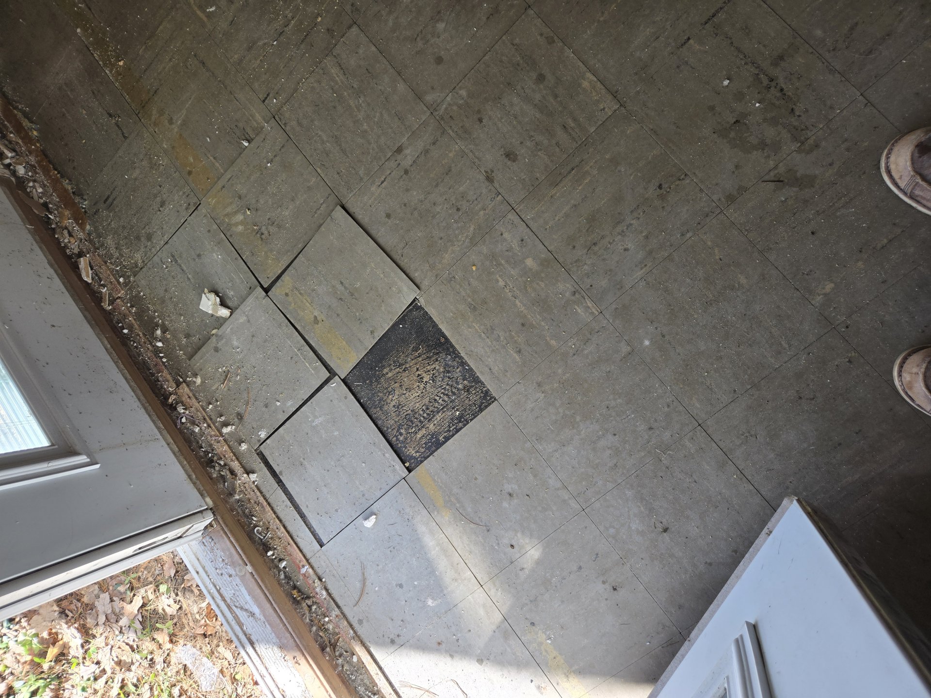 Mold Remediation