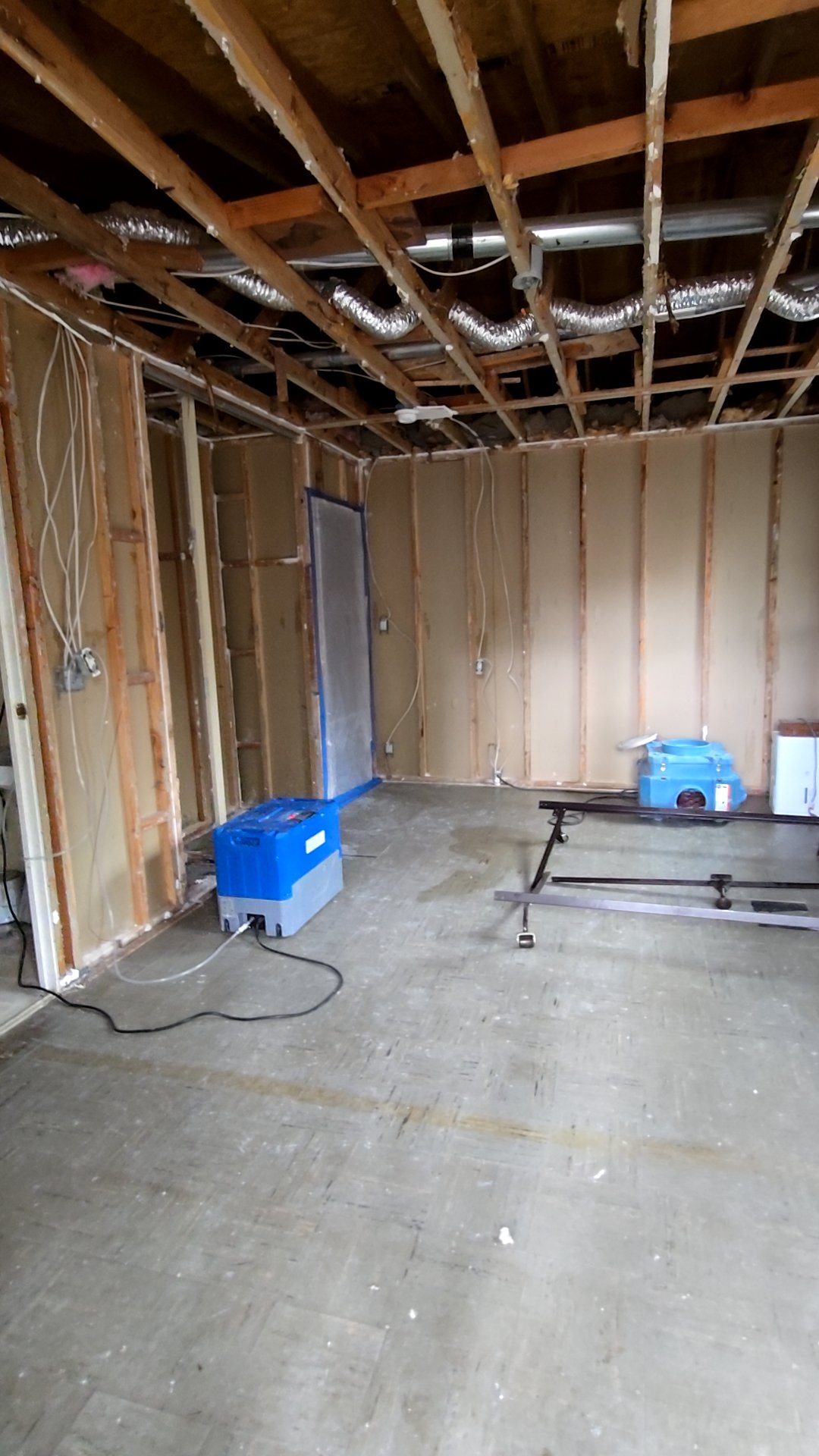 Mold Remediation