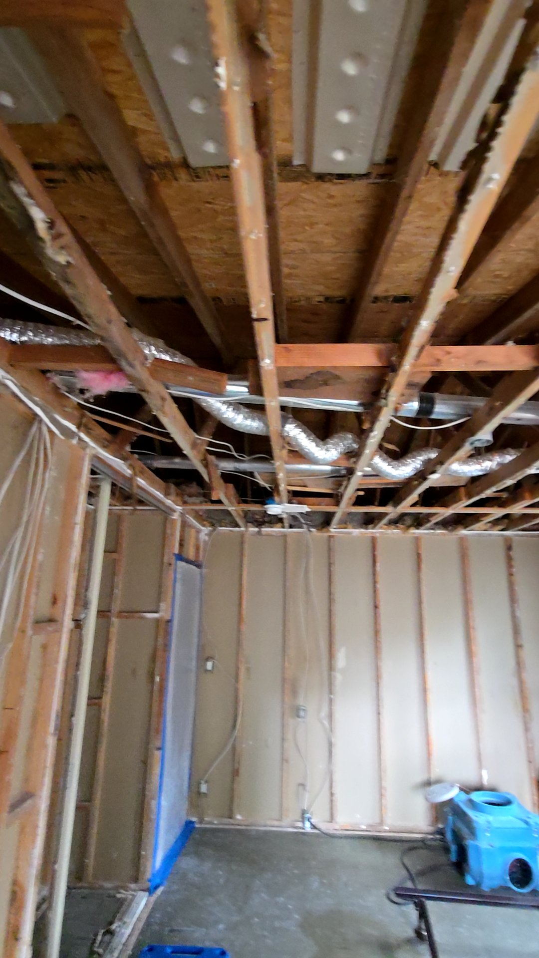 Mold Remediation