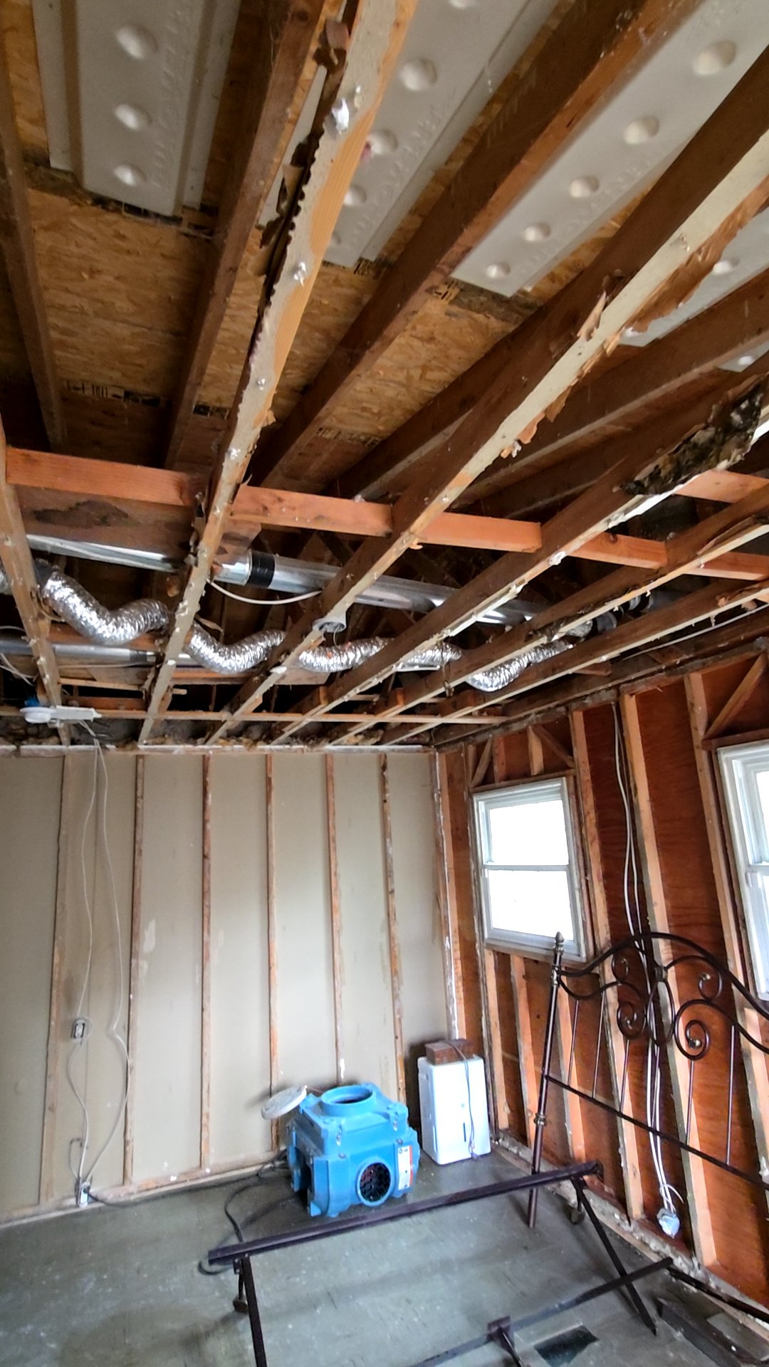 Mold Remediation