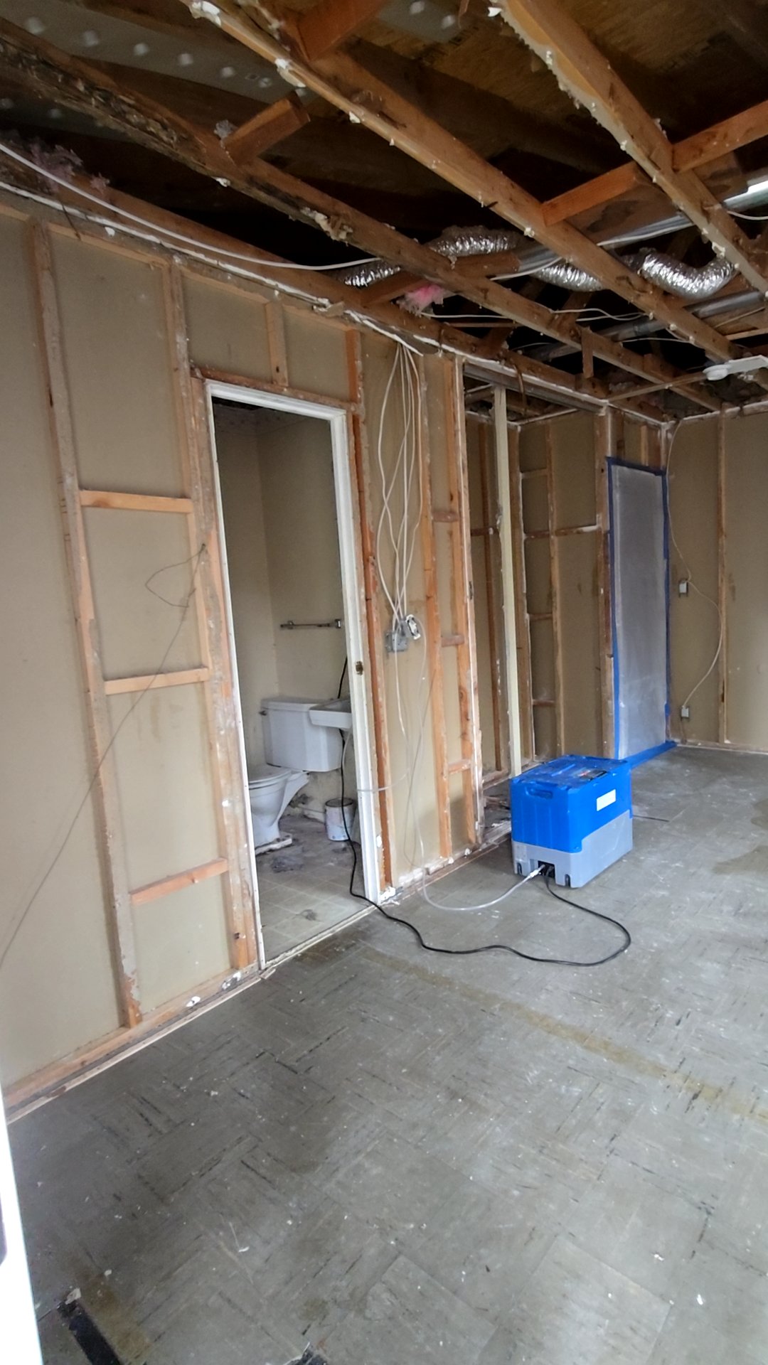 Mold Remediation