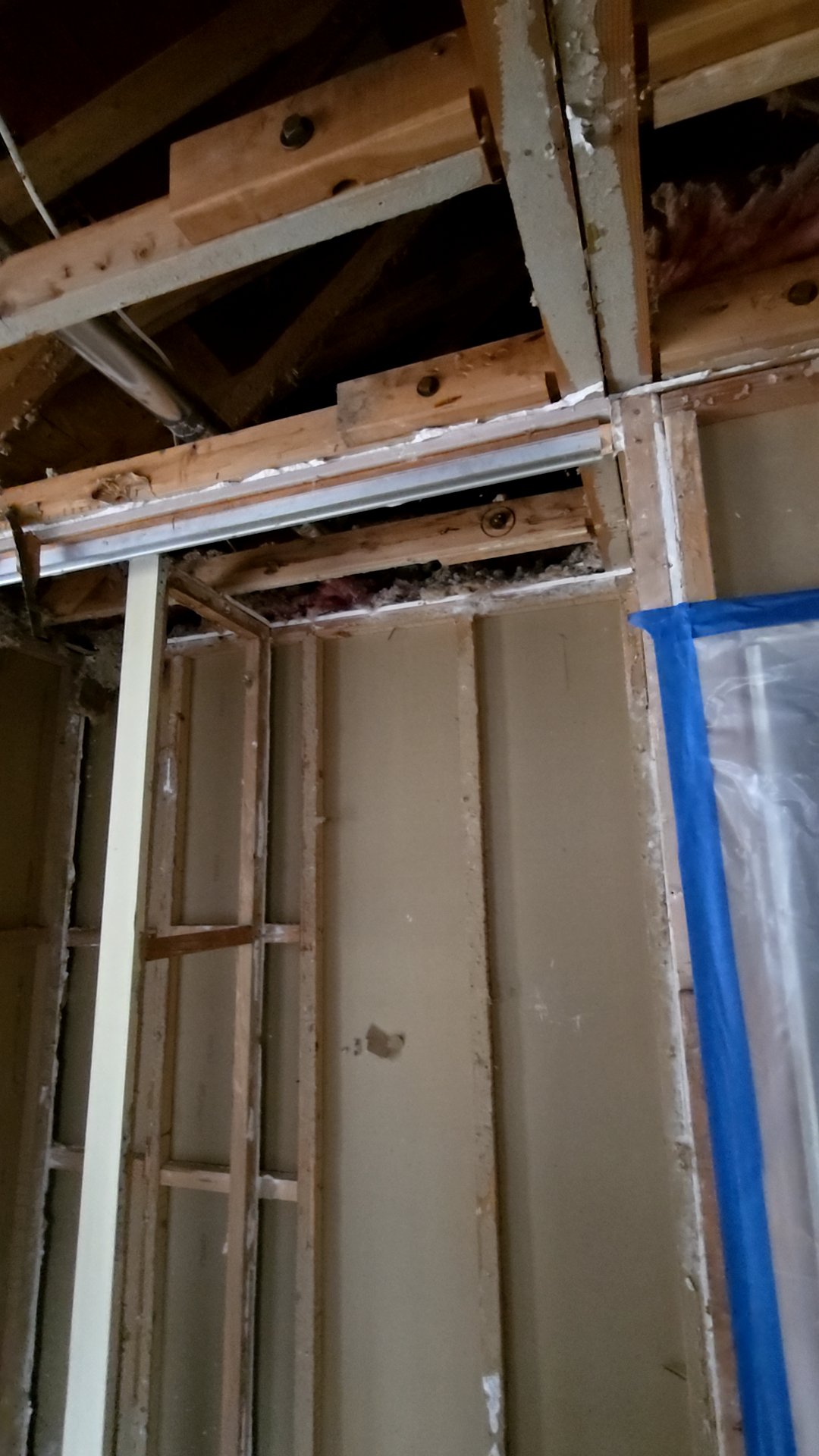 Mold Remediation