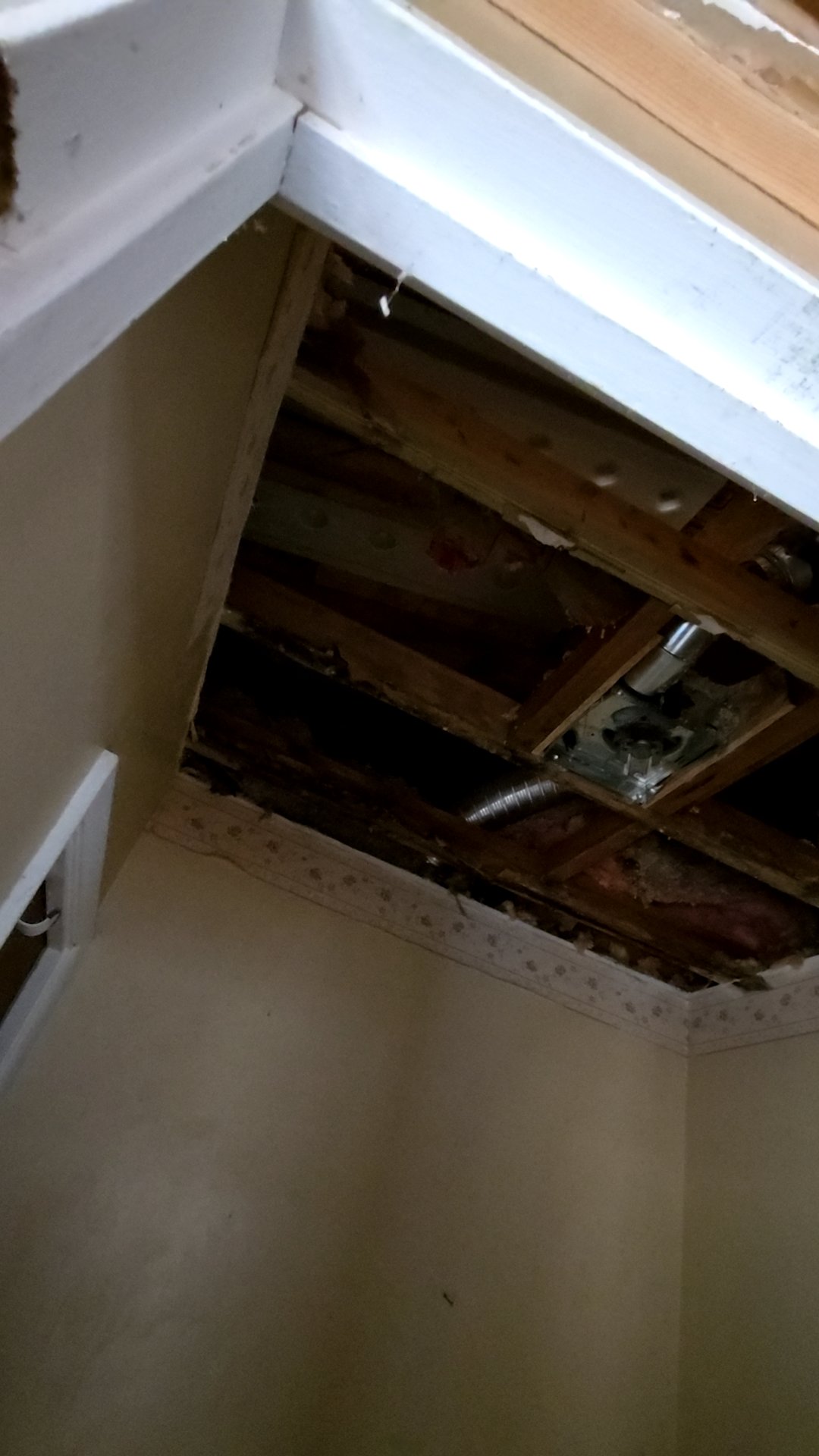 Mold Remediation
