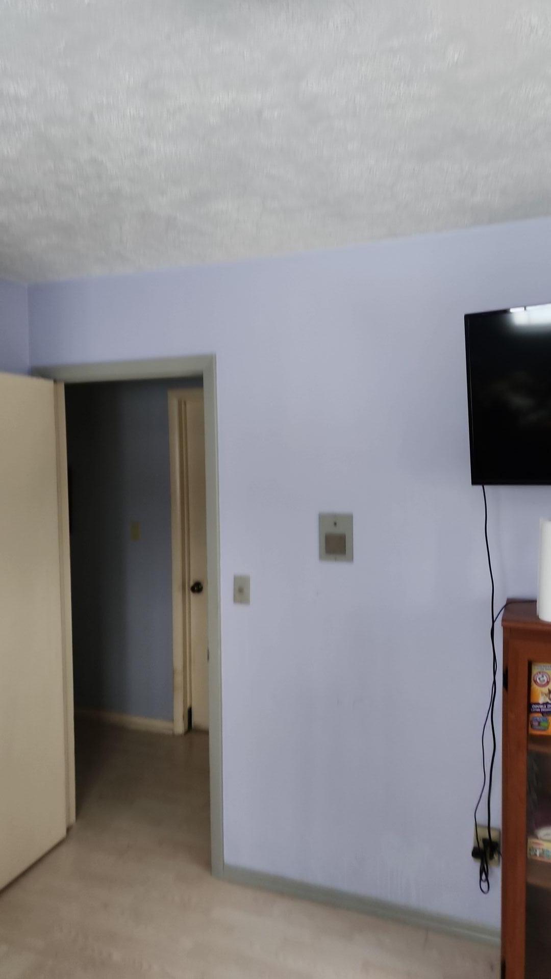 Mold Remediation