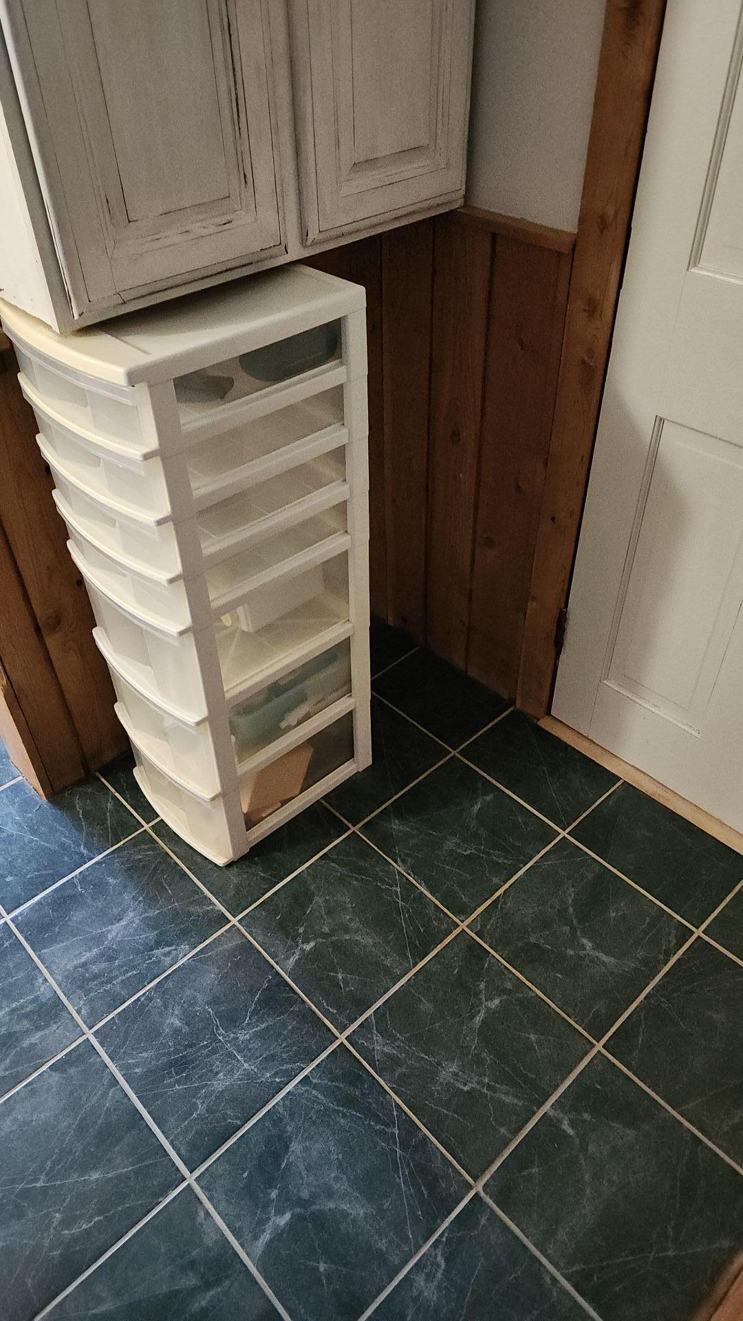 Mold Remediation