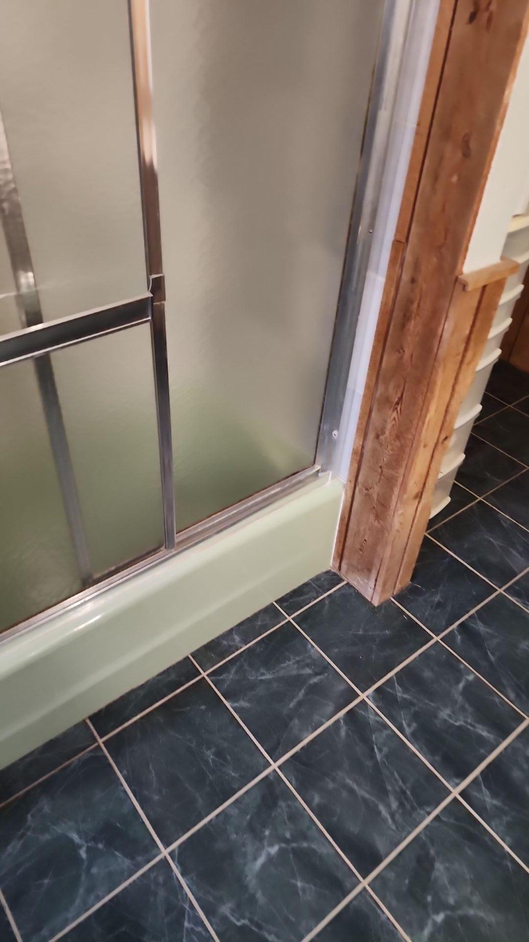 Mold Remediation