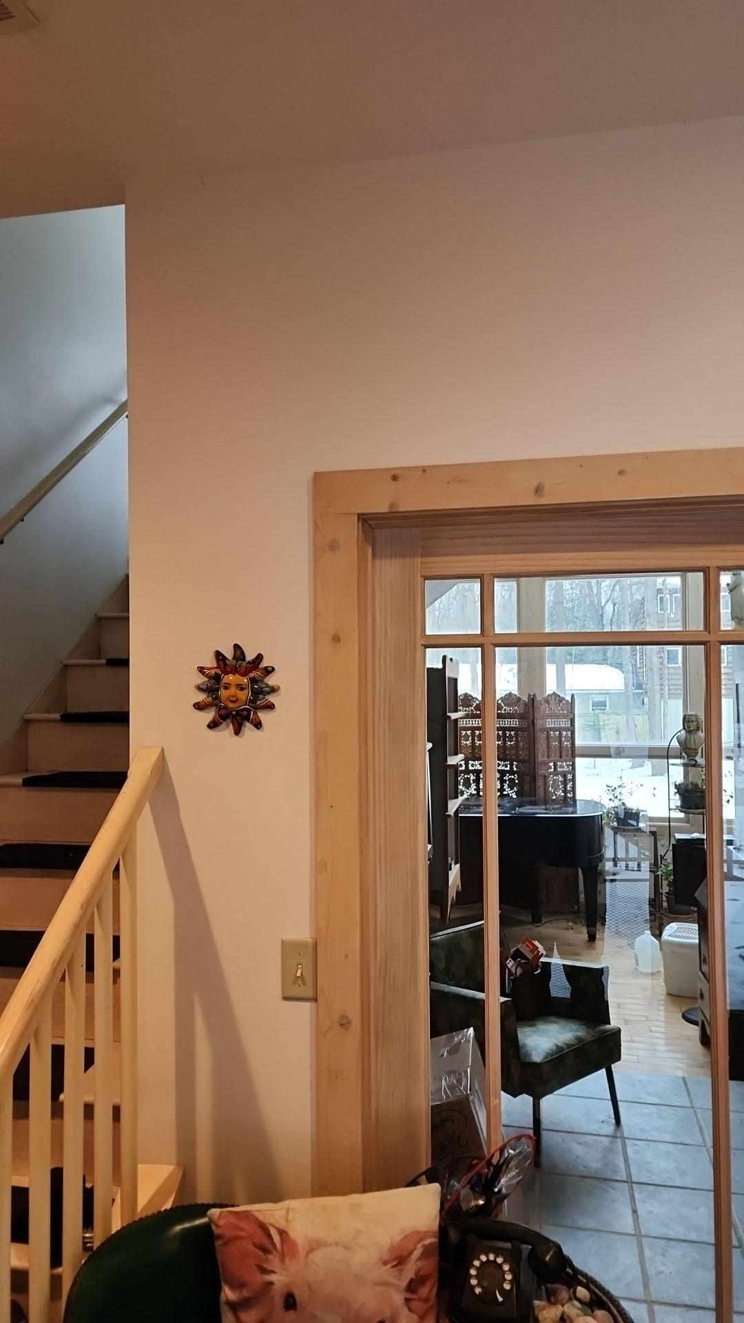 Mold Remediation