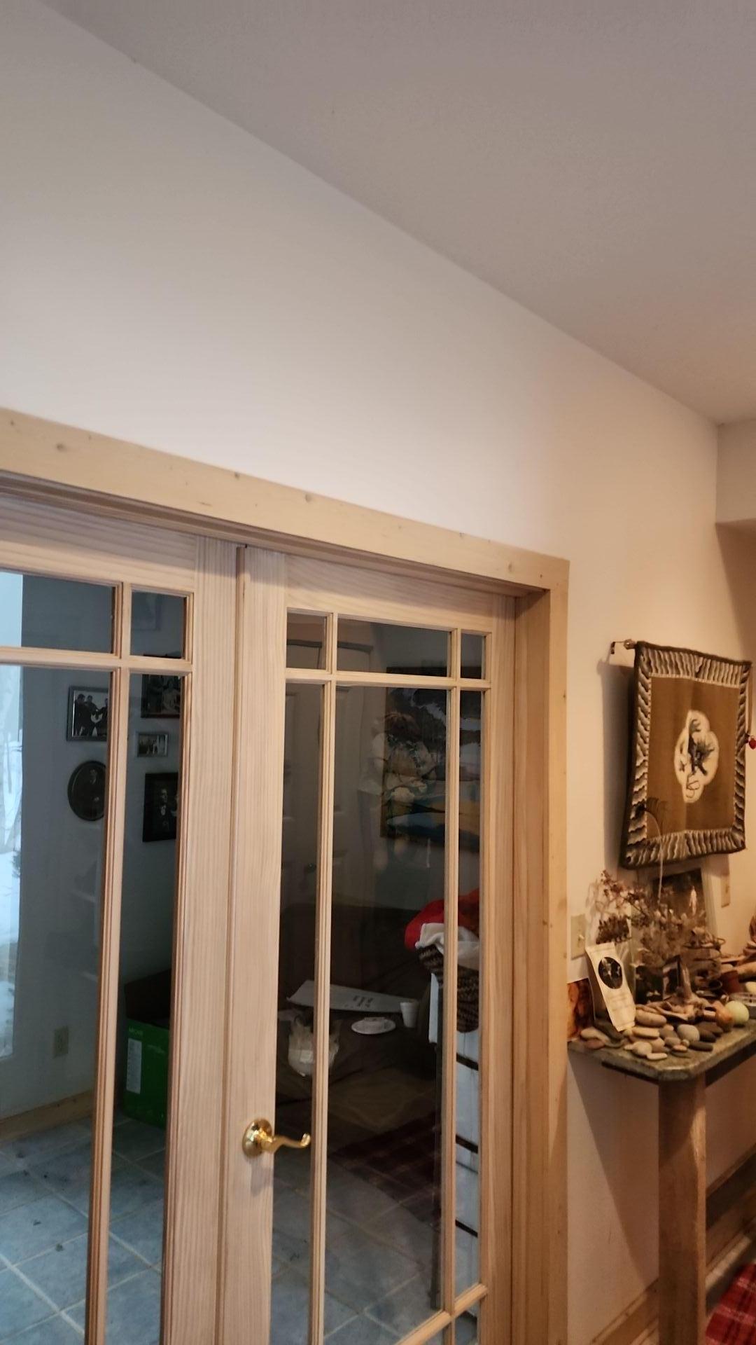Mold Remediation