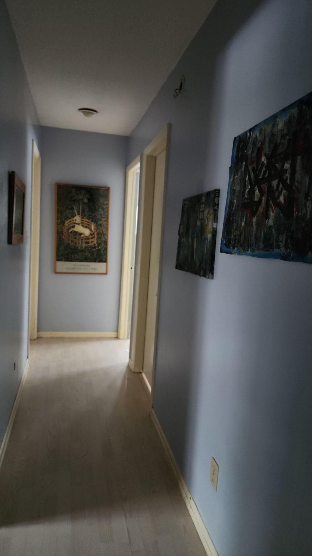 Mold Remediation