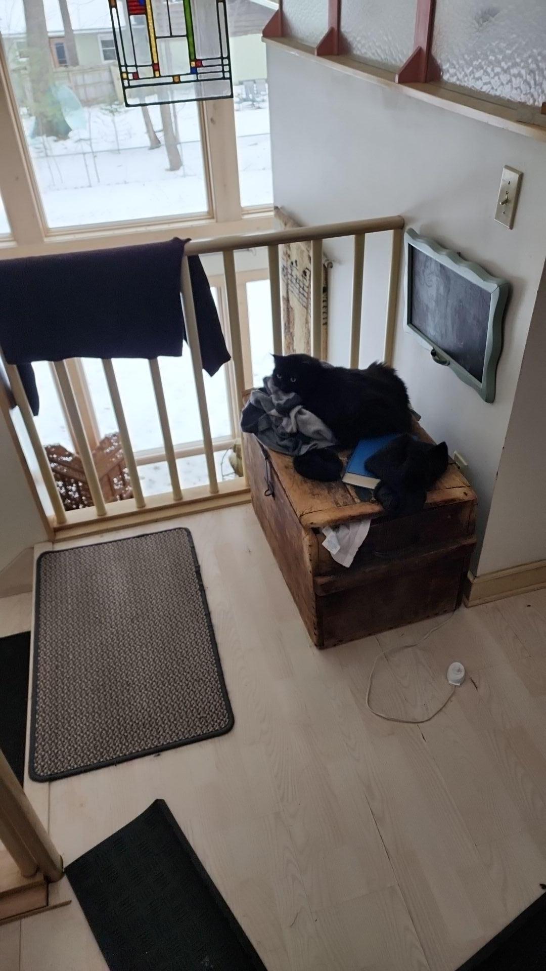 Mold Remediation