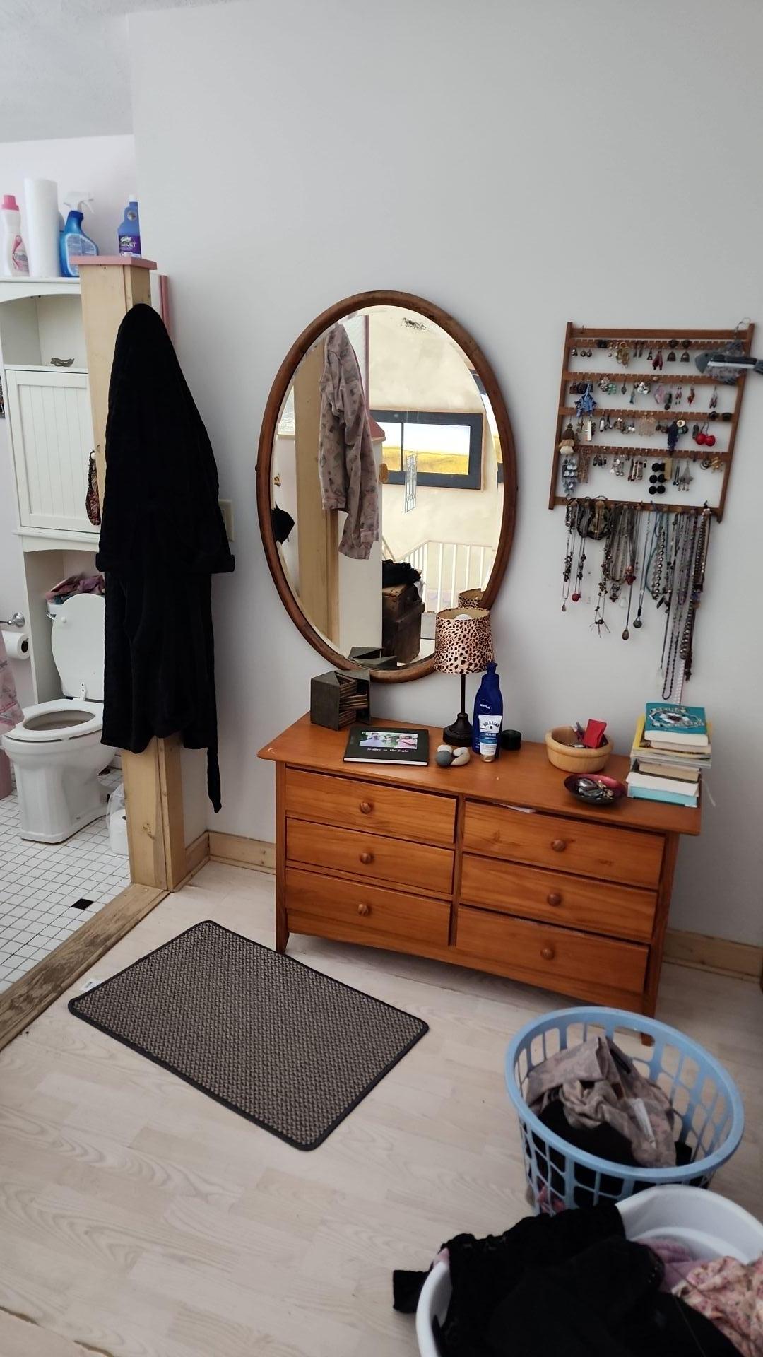 Mold Remediation