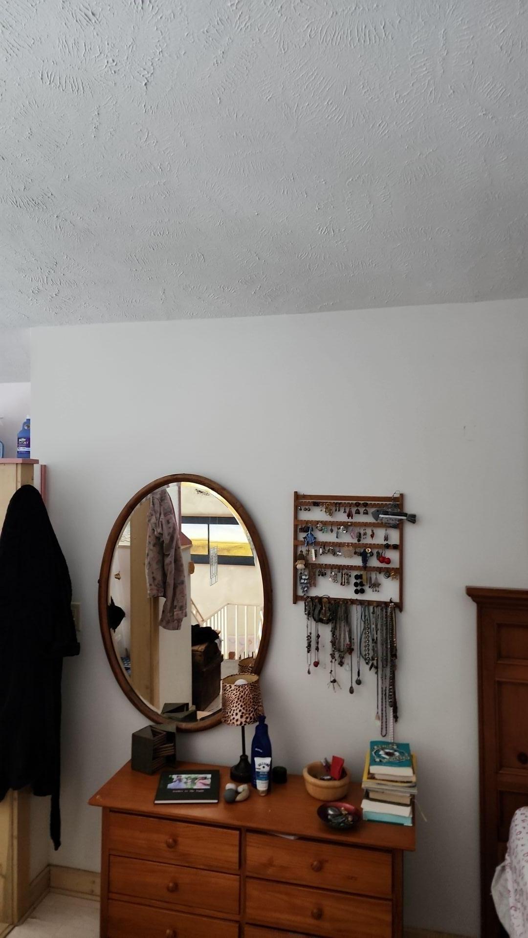 Mold Remediation