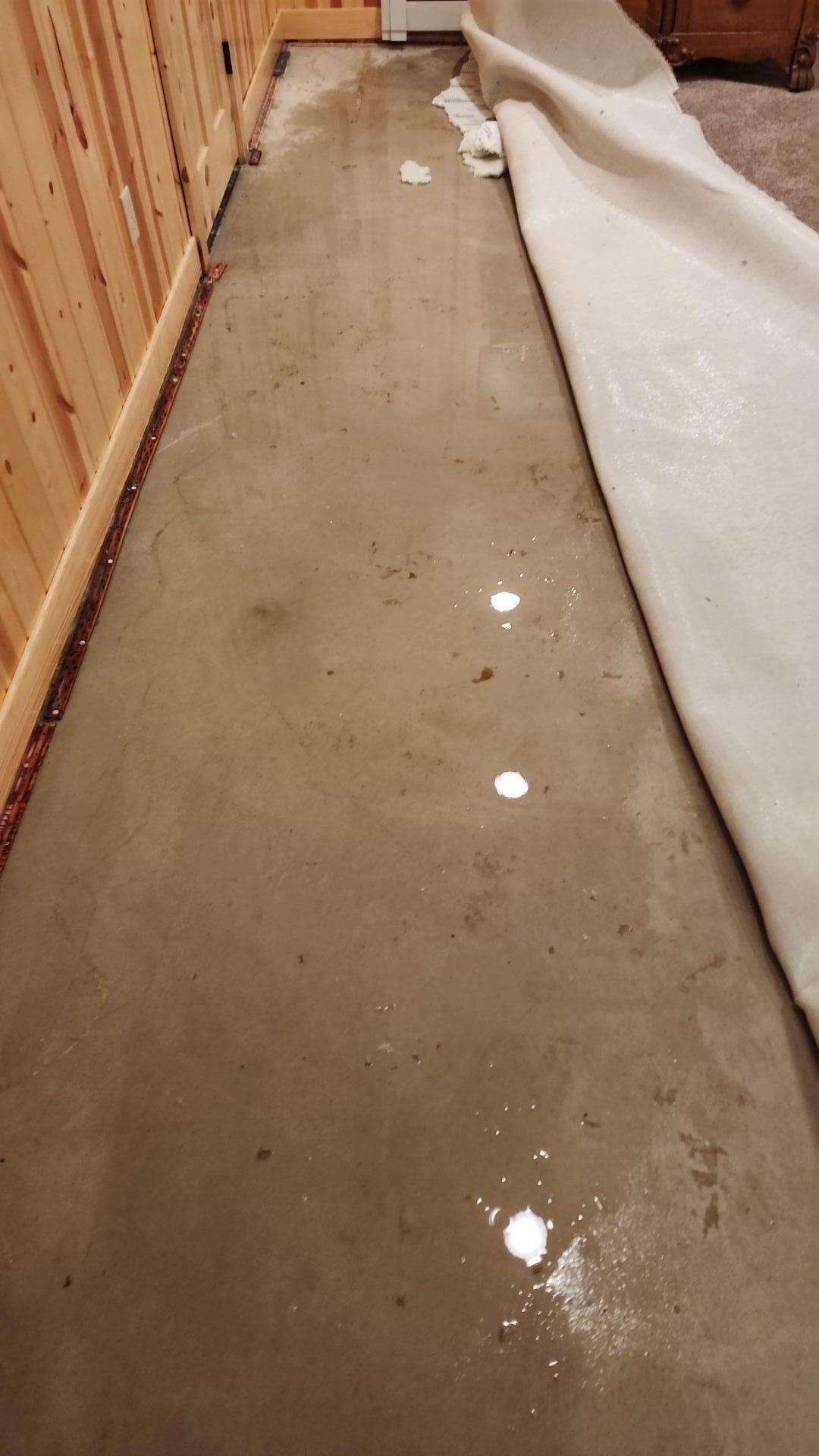 Water Damage Restoration