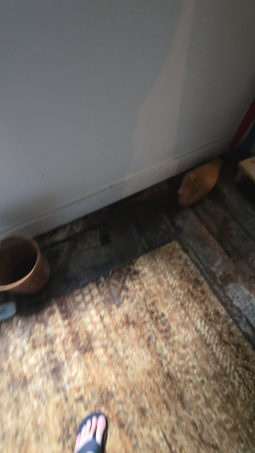 Water Damage Restoration