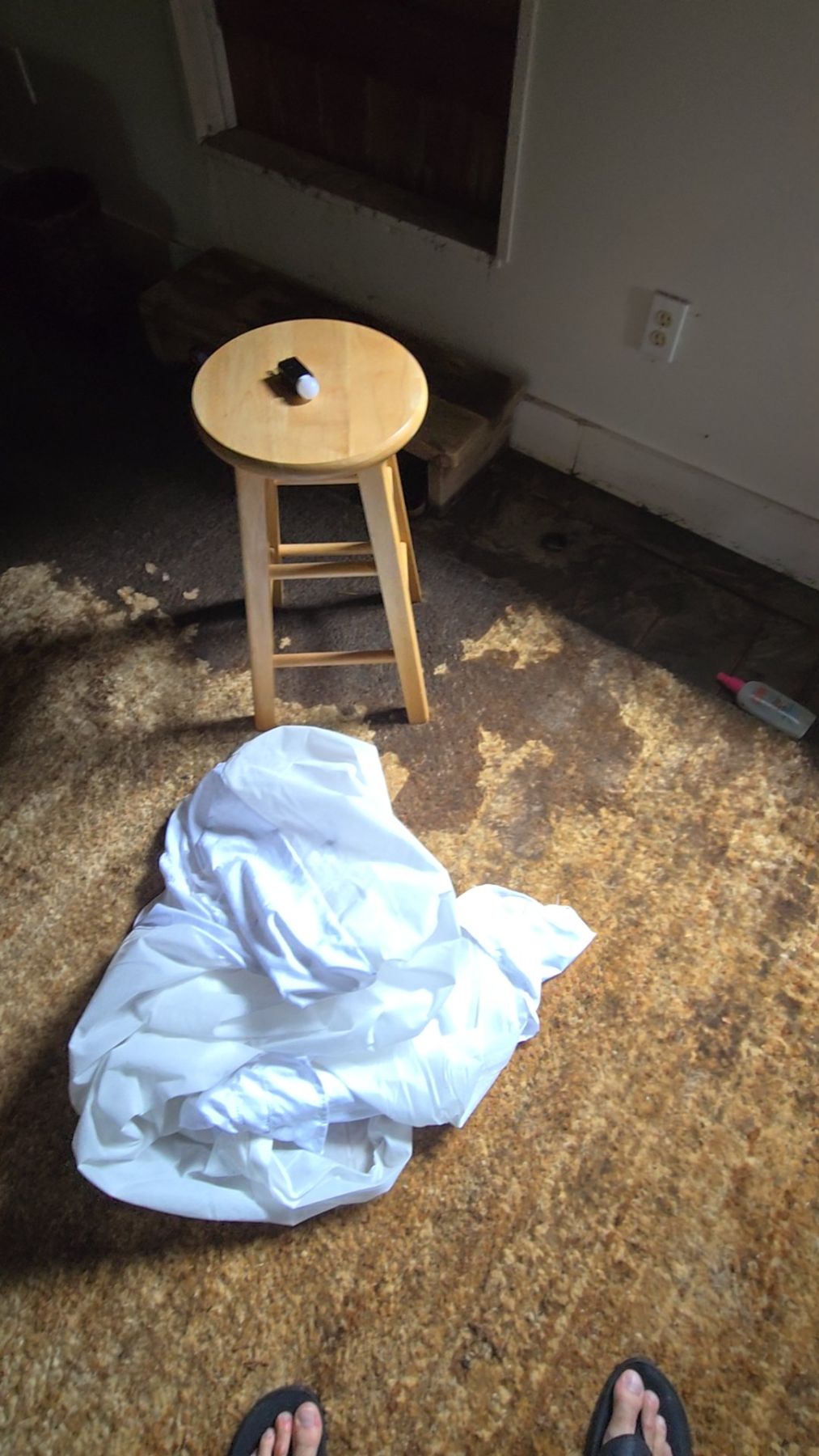 Water Damage Restoration
