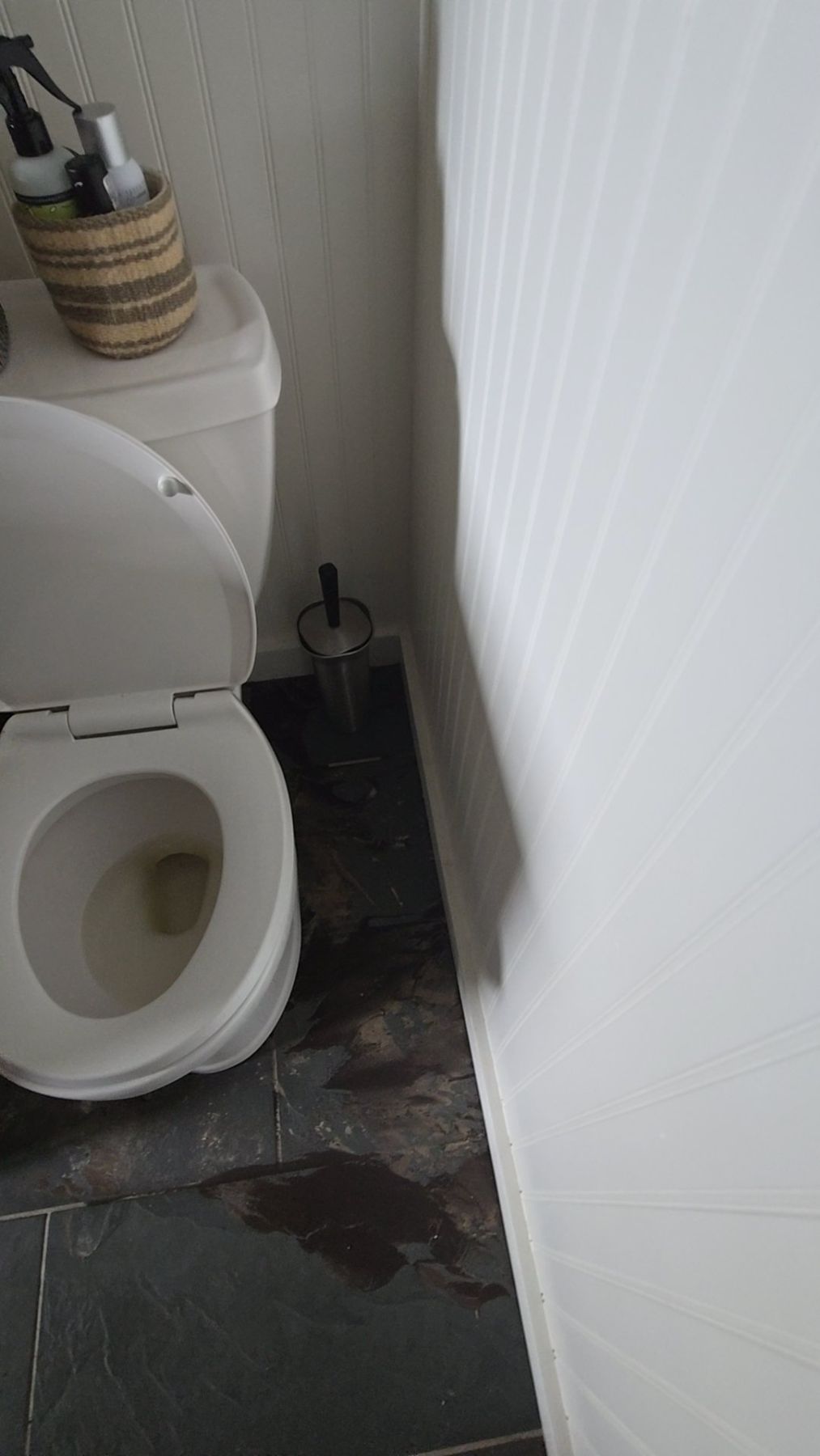 Water Damage Restoration
