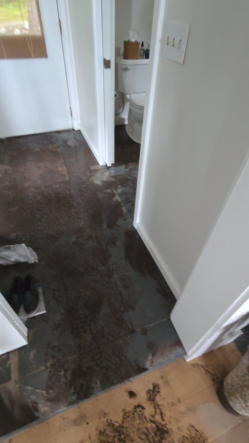 Water Damage Restoration