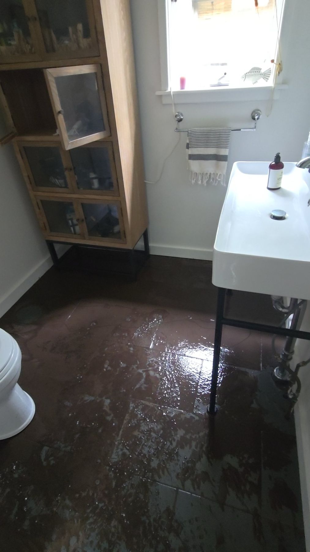 Water Damage Restoration