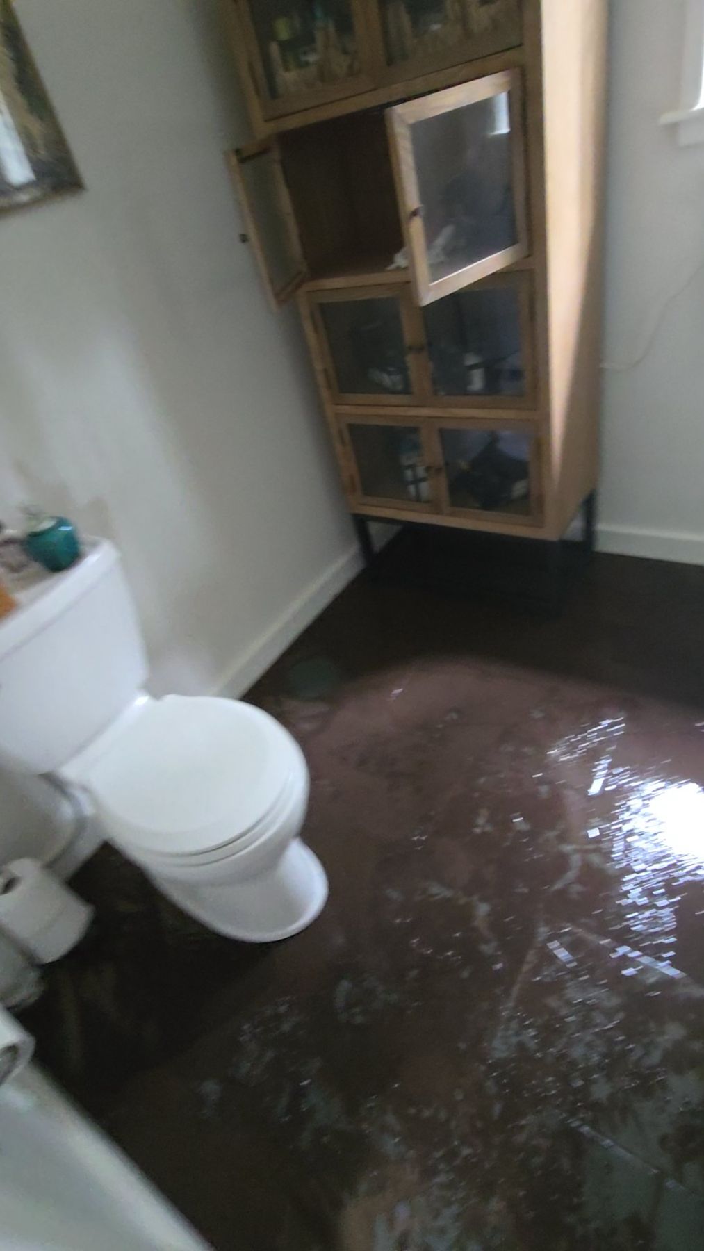 Water Damage Restoration